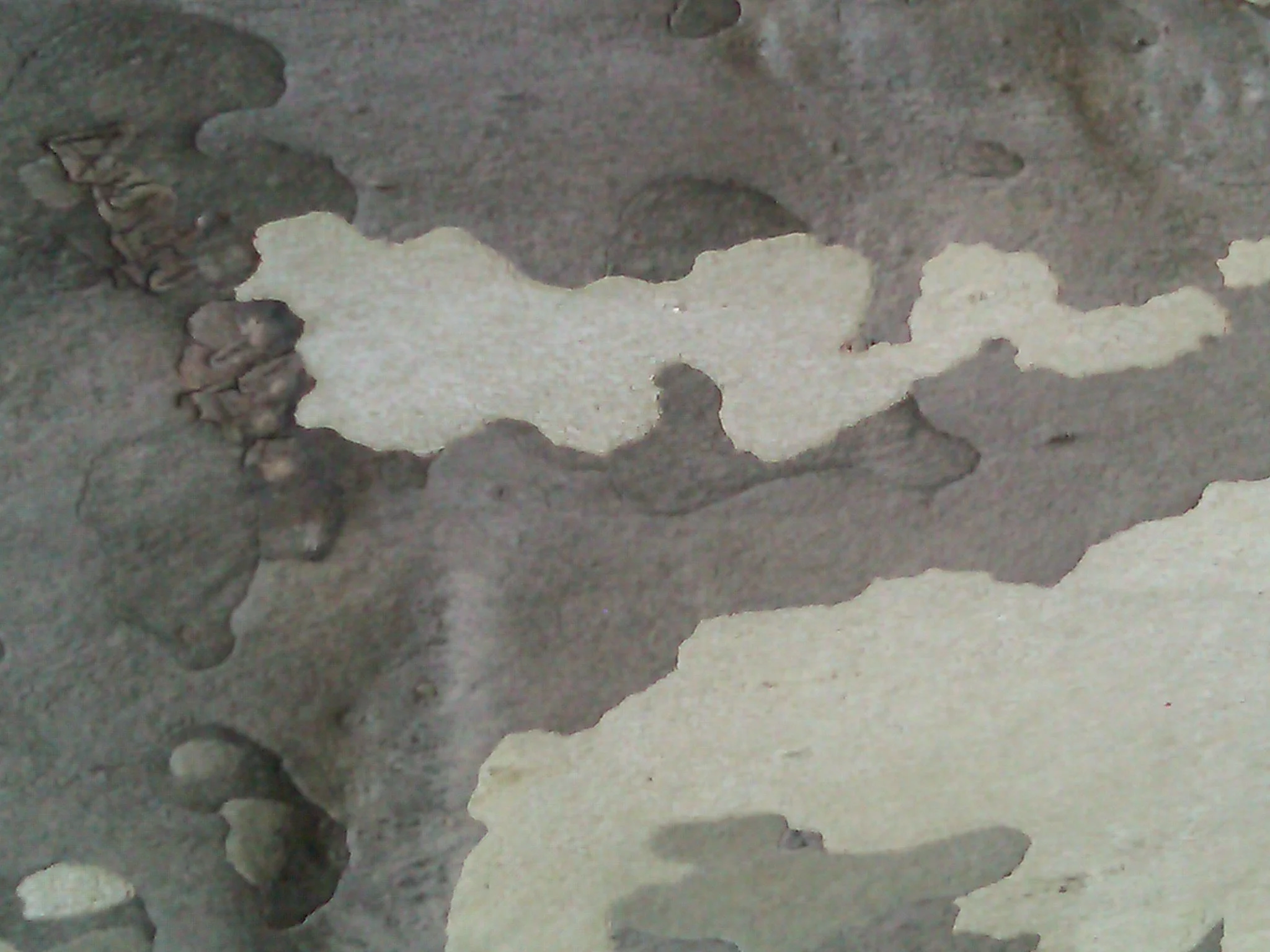 nature abstract too.jpg