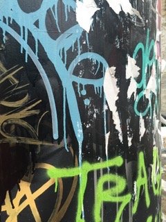 tiny dancergreen trash.jpeg