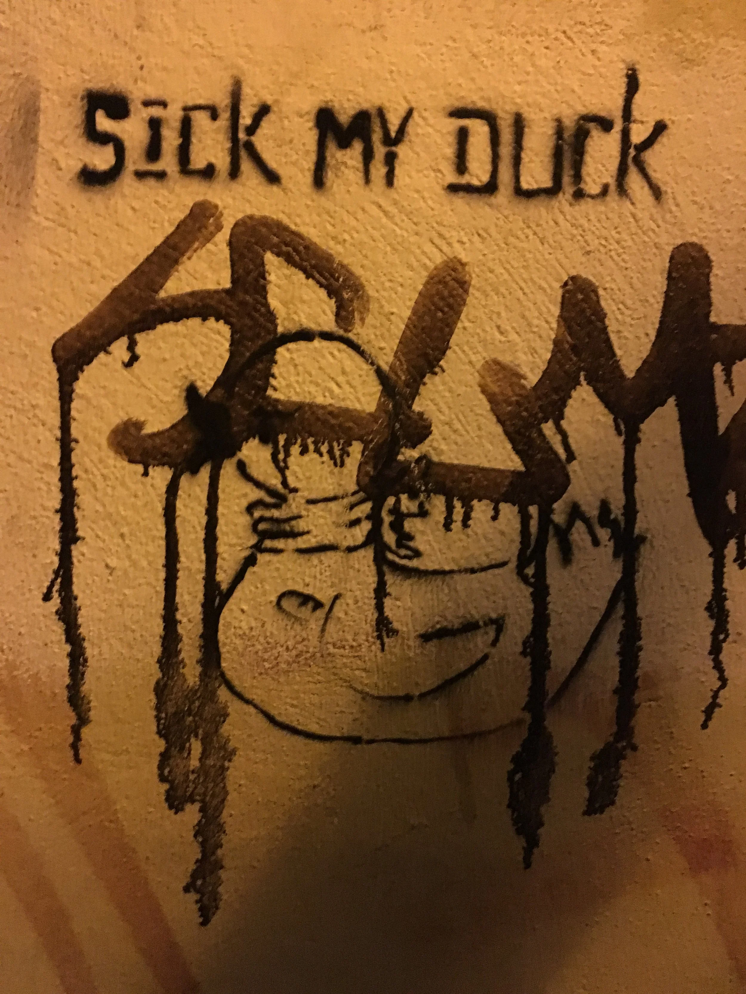sick my duck.JPG
