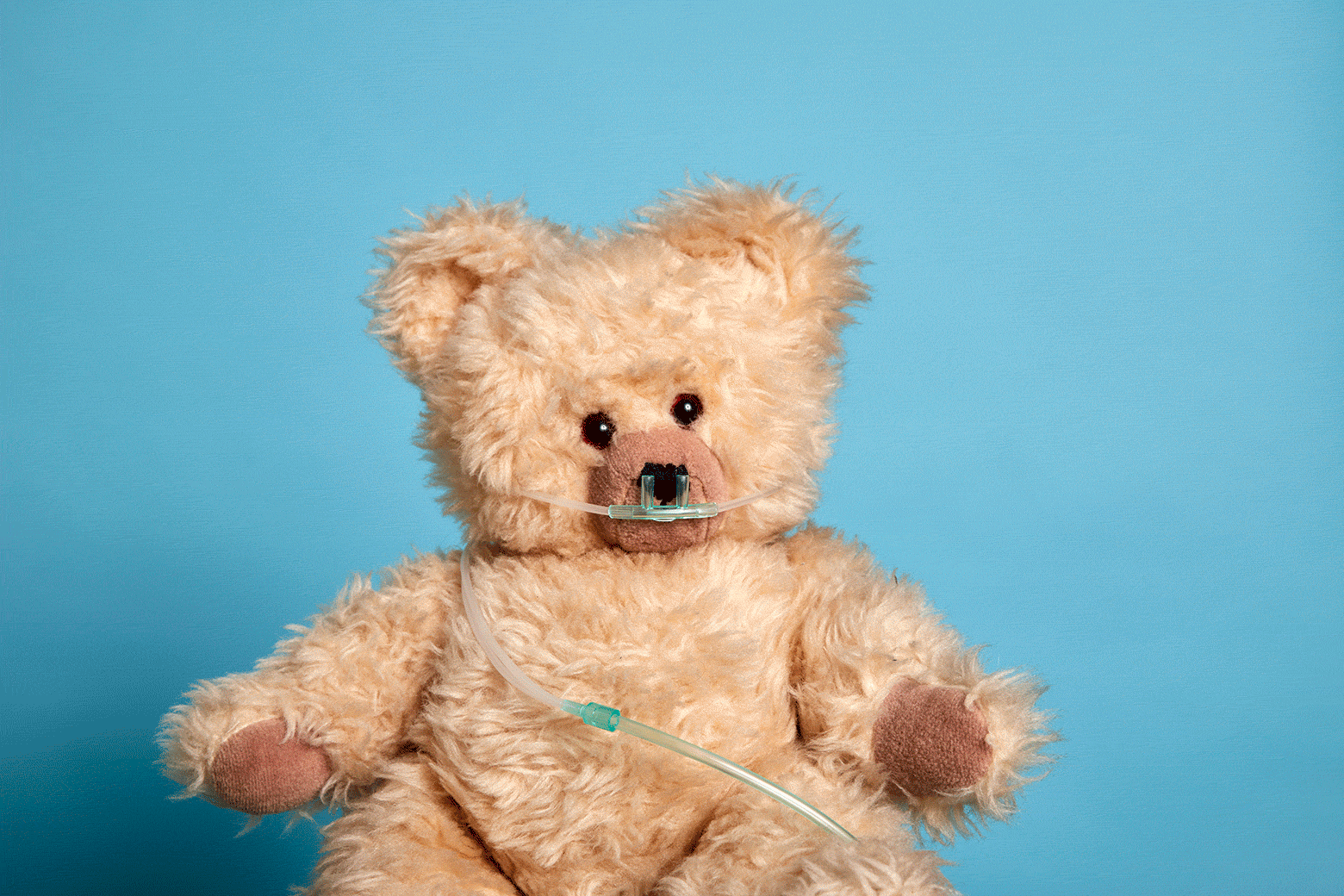 Dr. Lilly Jay, psychologist discussing grief, digital communities, and parental healing