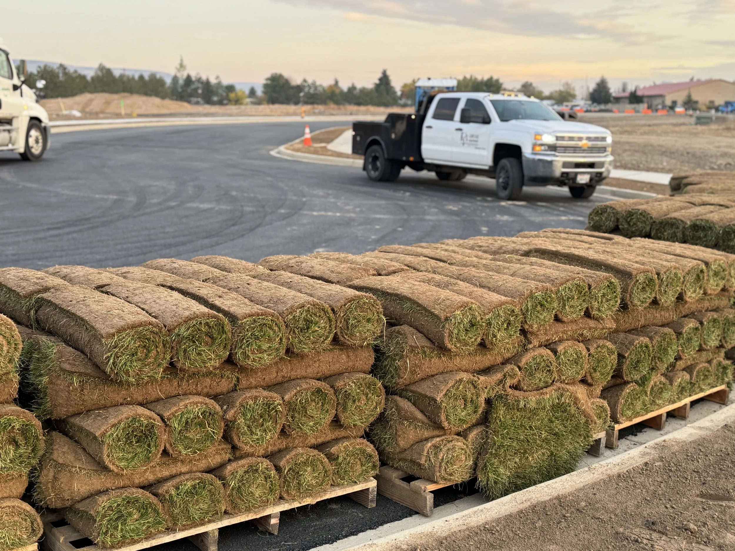 Stacks of rolled sod on pallets at a construction site with trucks and a curved paved road in the background during sunset.