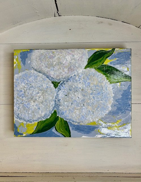 Hues of Hydrangeas