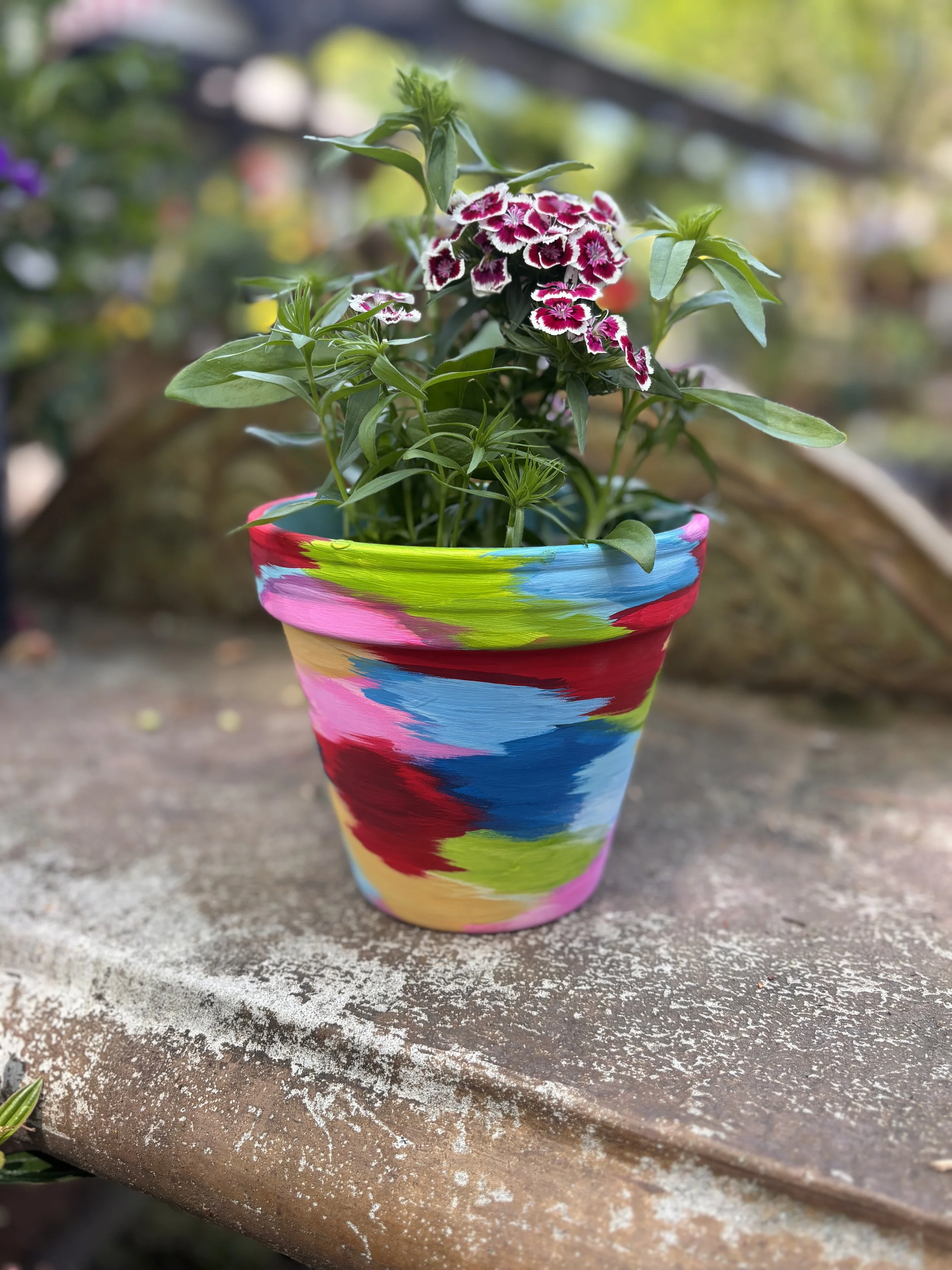 May 6th Painted Garden Pot Workshop