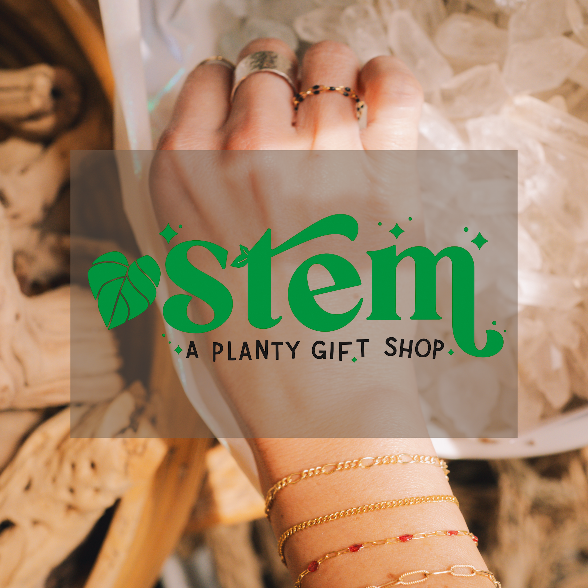 Stem - Plant Store