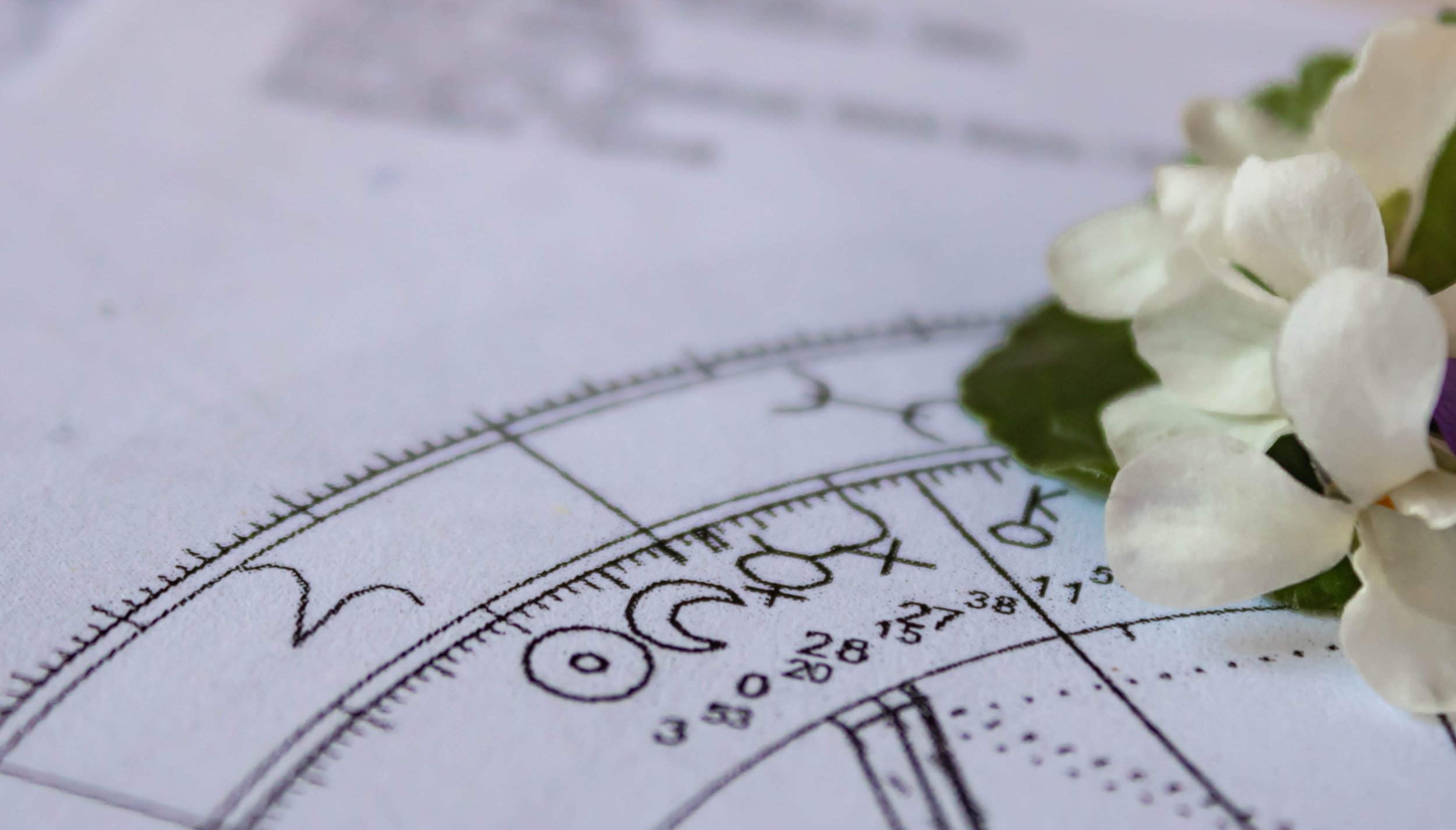 MW Astrology Astrology Readings 2.jpg
