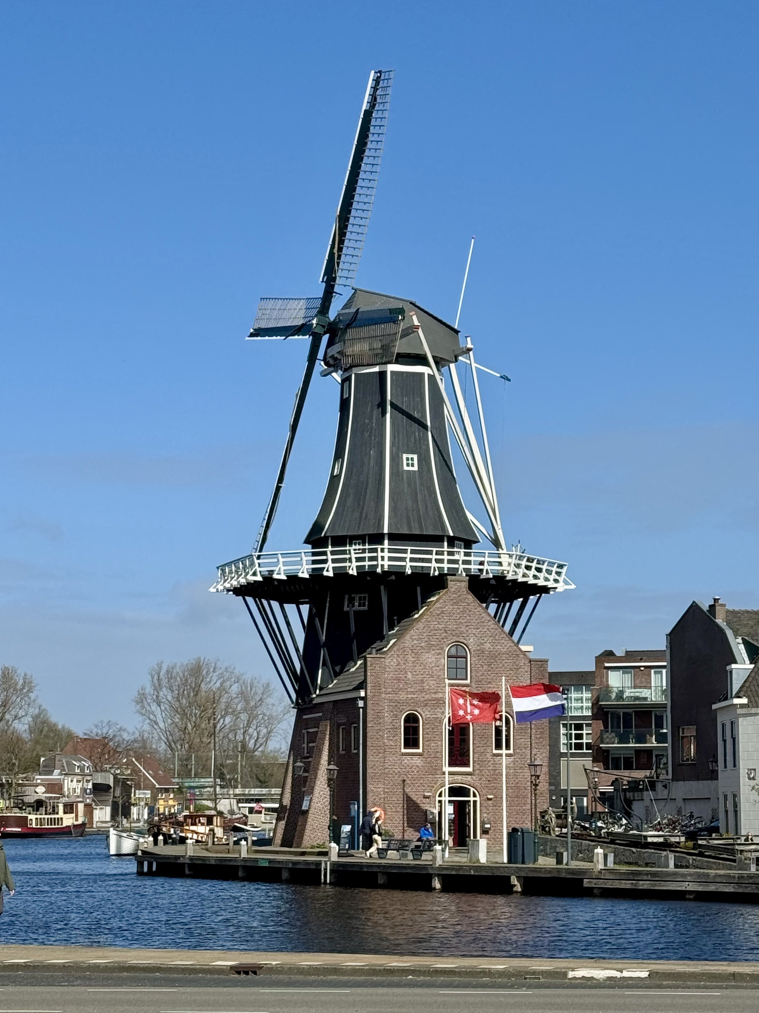 Why you should tour with an expat!
