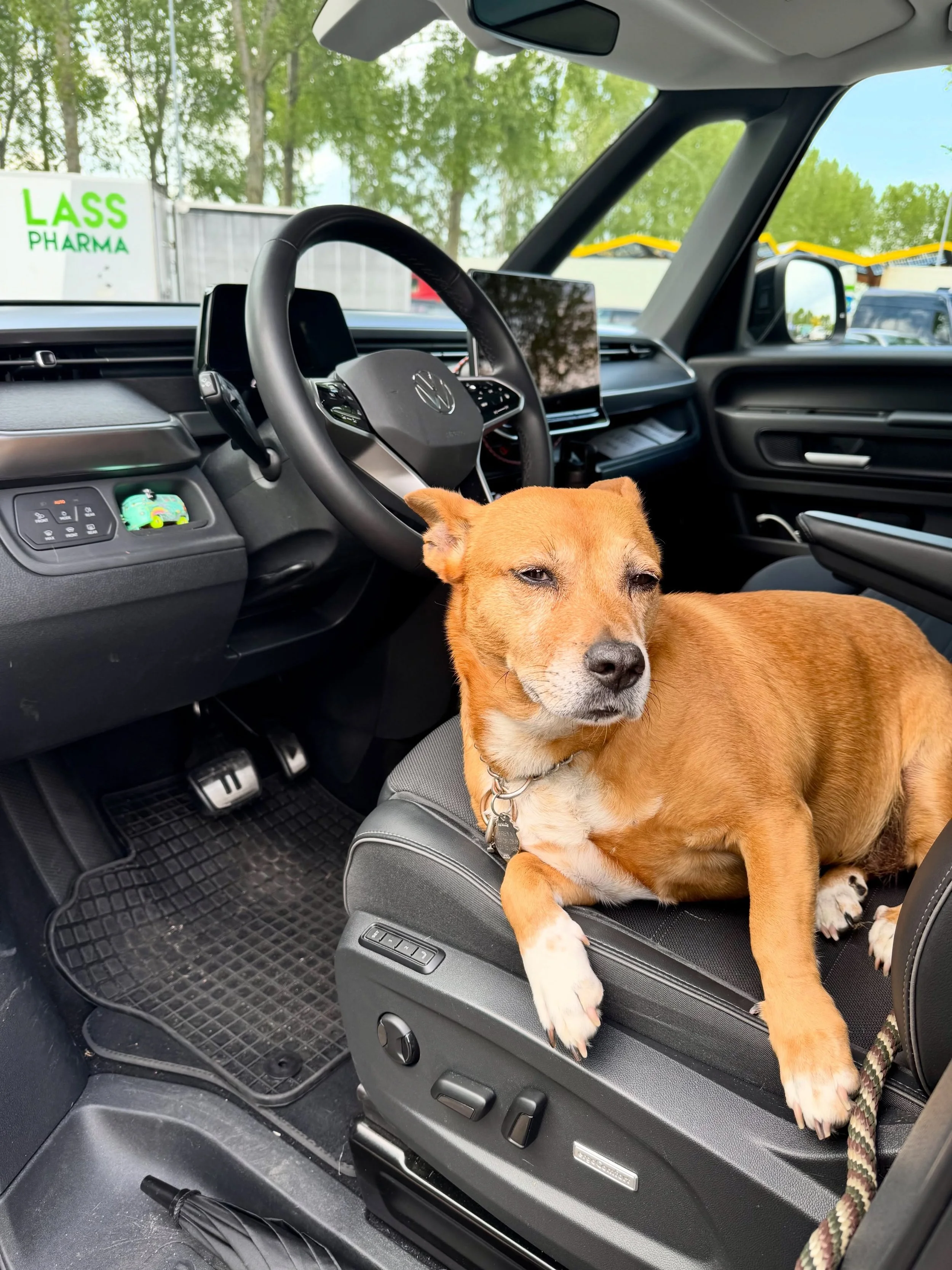 If you&rsquo;re moving to the Netherlands with pets (or without!) let Chris help you with an easy arrival. Stops at pets stores are including in my standard arrival price. Your beloved animal is always welcome! #netherlands #petsinthenetherlands #mov
