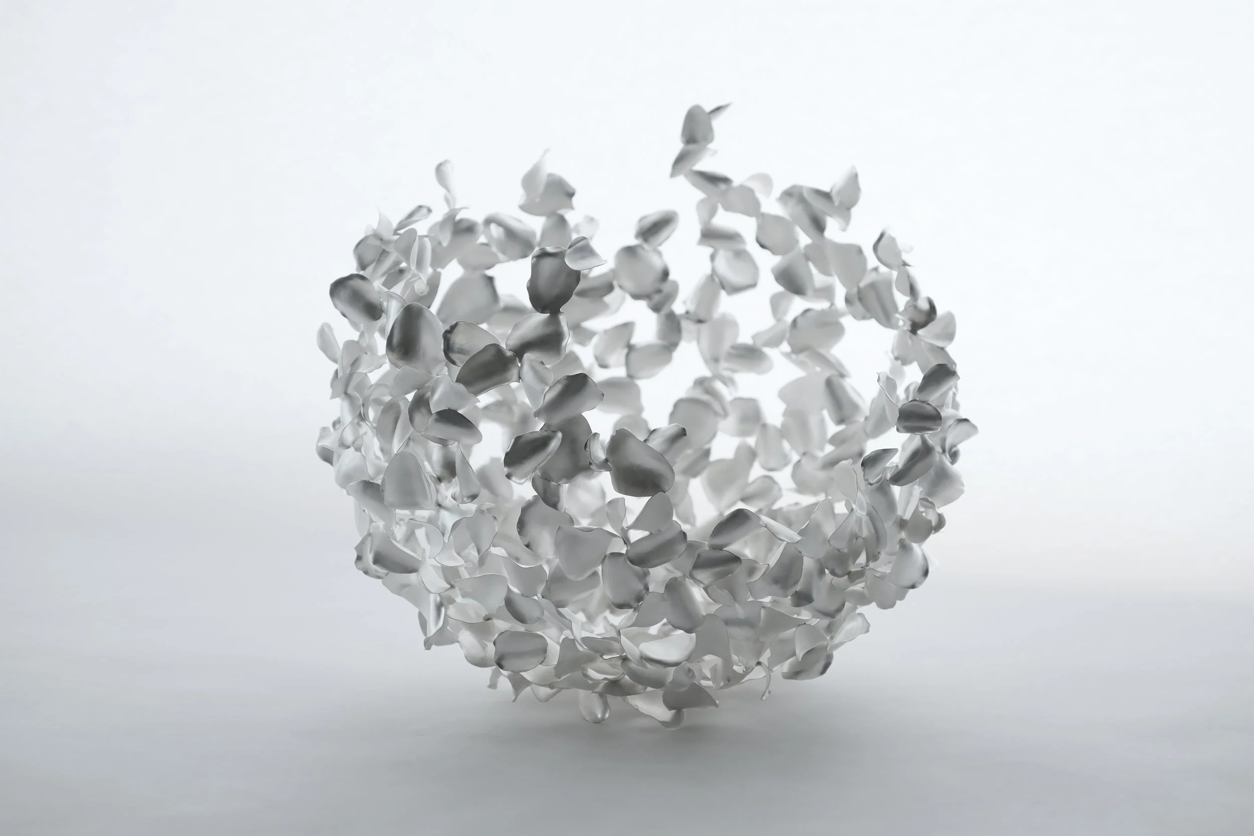 Embraced / White Rose