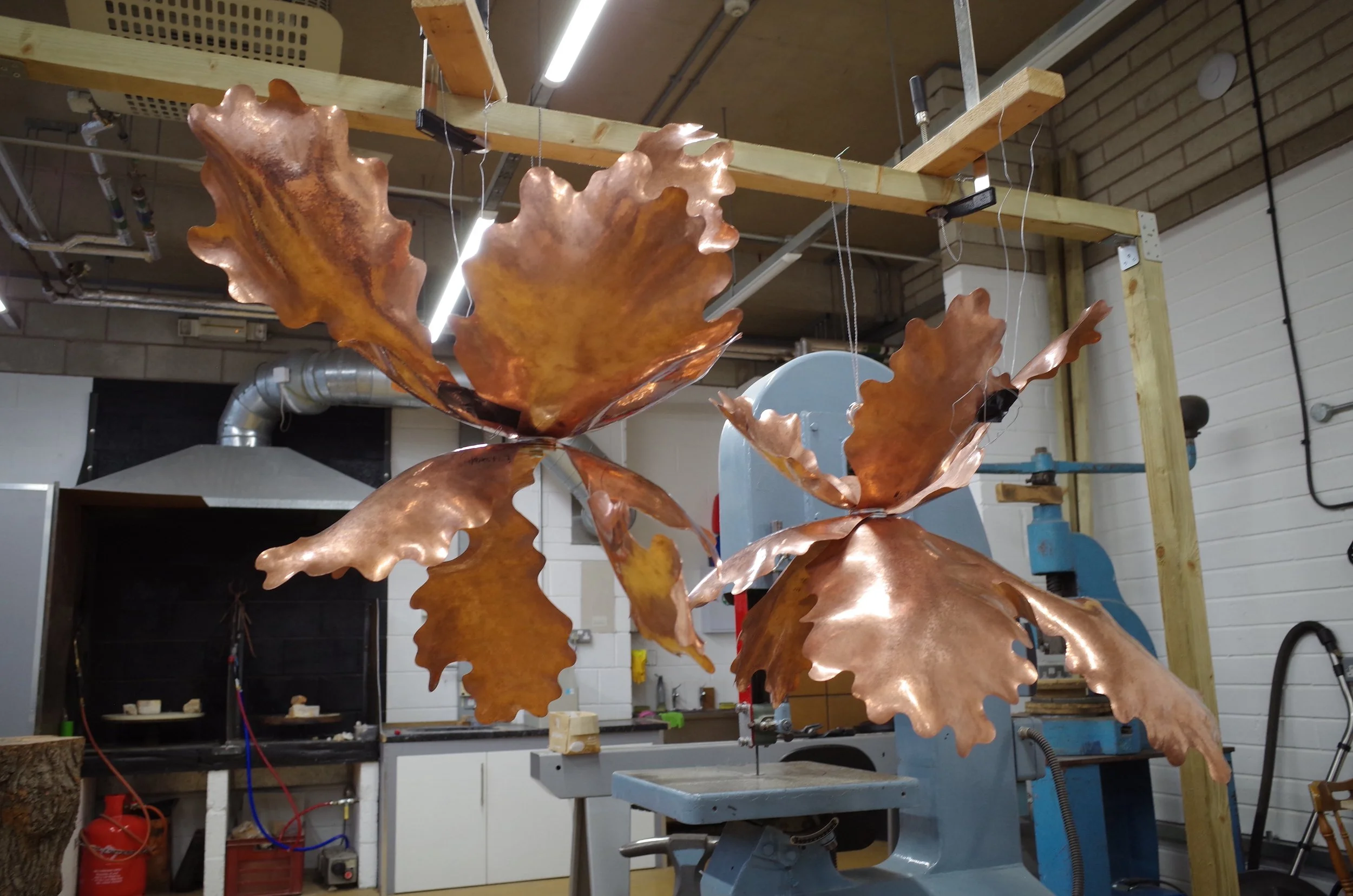 10from eye level.JPG