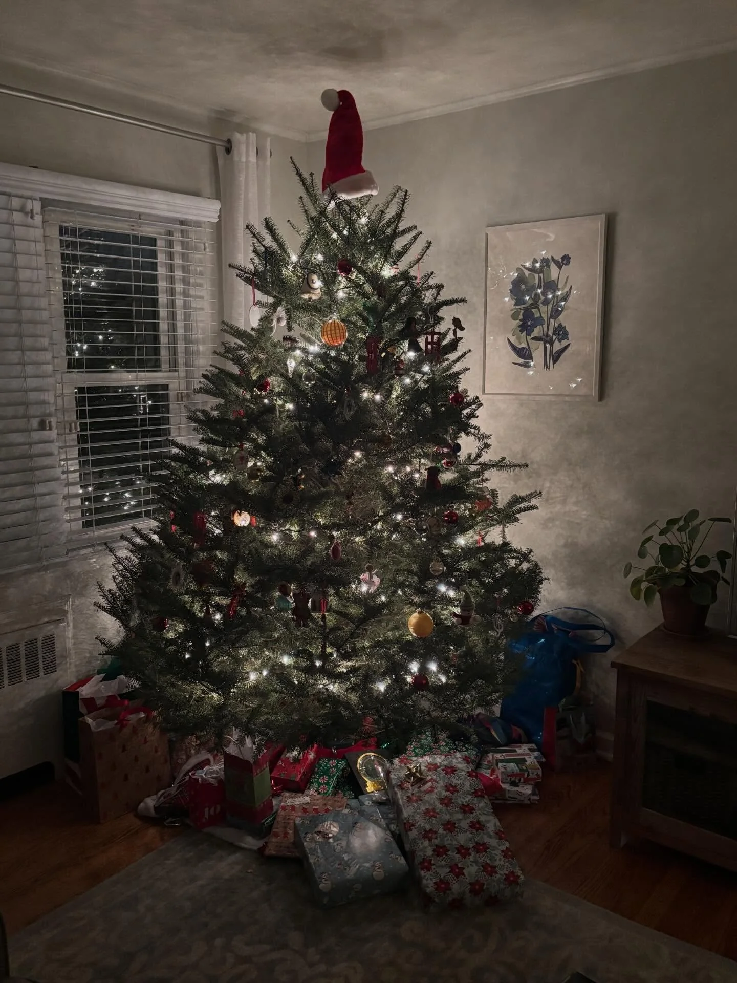 Merry Christmas to all who celebrate!  We had two lovely days of quiet family time, just the four of us cooking and baking and opening presents.  Now to relax and enjoy the last few days of 2025! 🎄