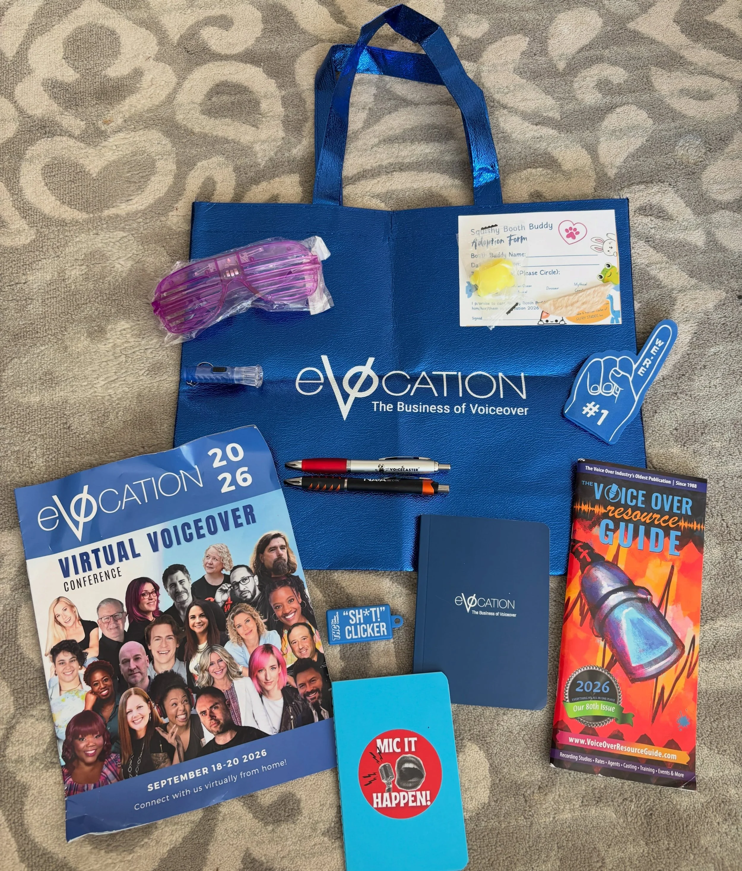 Ready for eVOcation this weekend!  The in person version in 2019 was my first VO conference.  And even though it moved online in the years since then, there&rsquo;s always so much incredible and valuable info in these panels.  Can&rsquo;t wait to see