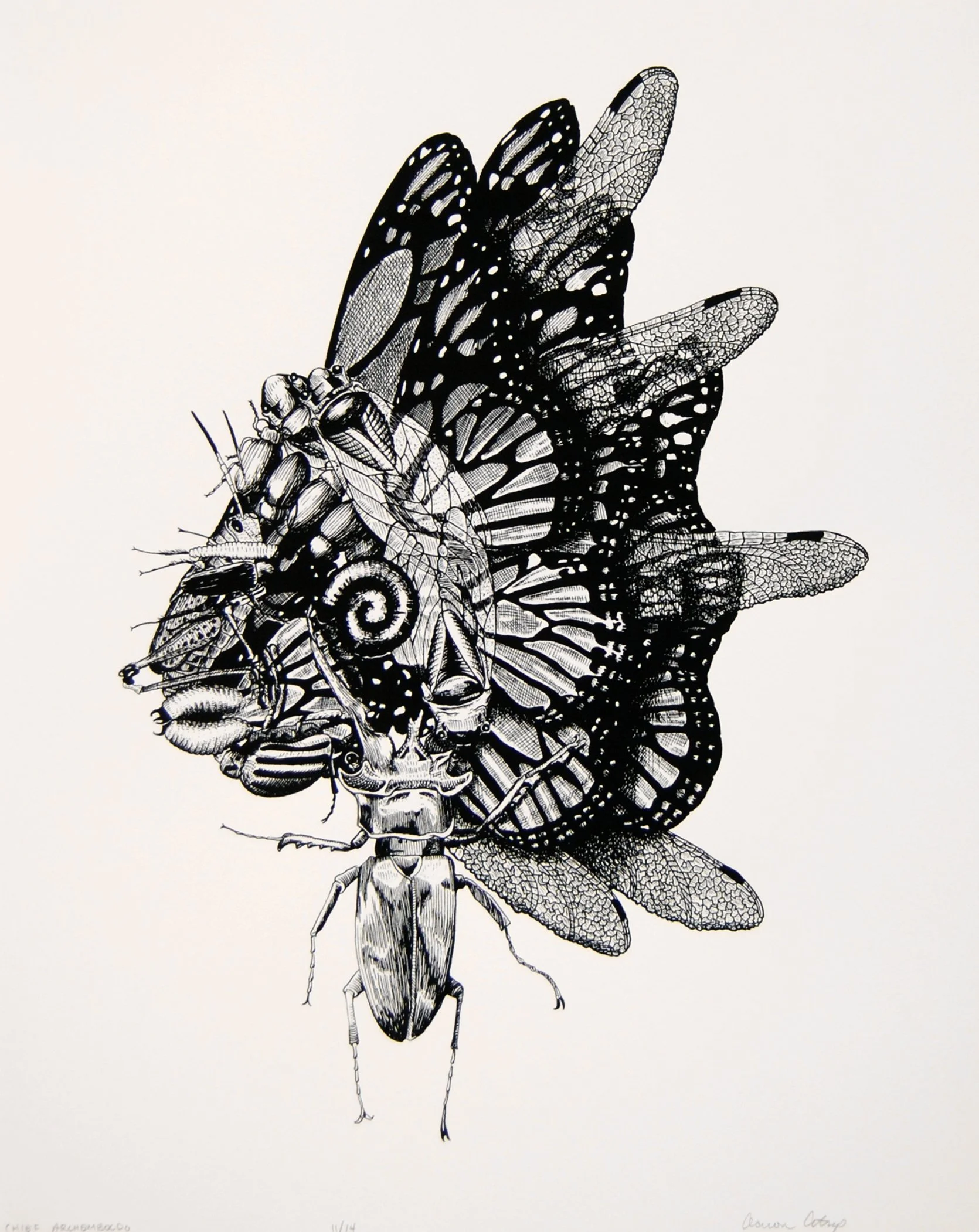 AaronArtrip.ChiefArchemboldo.Silkscreen.16x20.2012.jpg