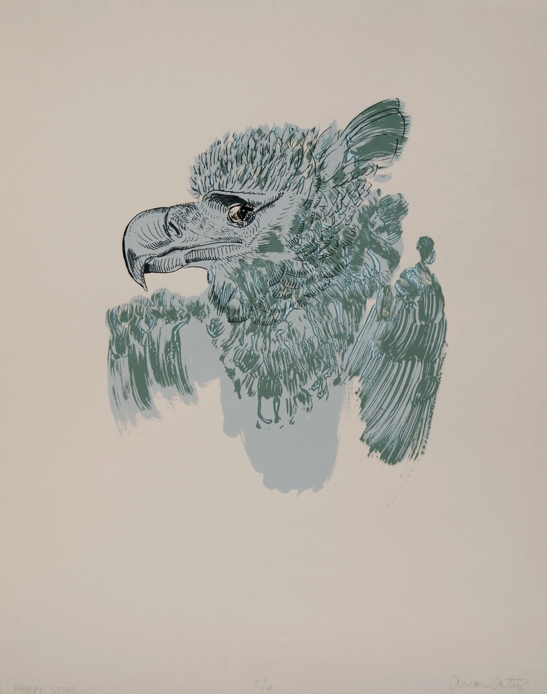 AaronArtrip.HarpeStudy.Silkscreen.16x20.2012.jpg