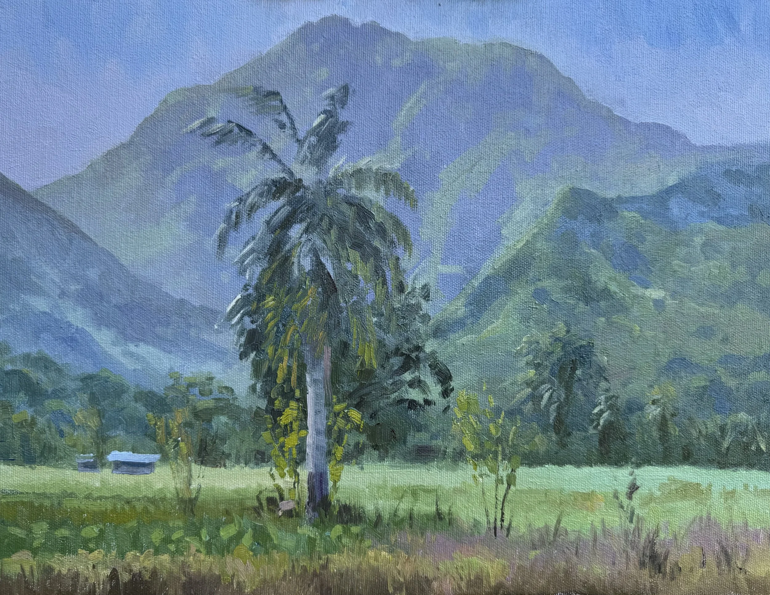 FullSizeRender (2).jpg