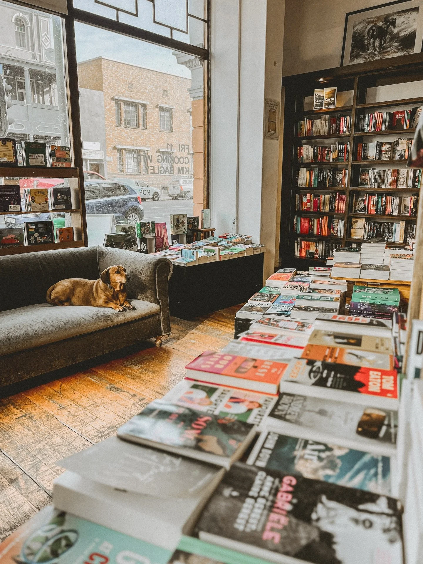The Book Lounge. Cape Town, South Africa 

📷 Gabriela Lopes

Cape Town City Guide coming soon!

#stoneandsahara #stoneandsaharacityguides #capetown #thebooklounge #books #art #architecture #culture #spacesforreflection