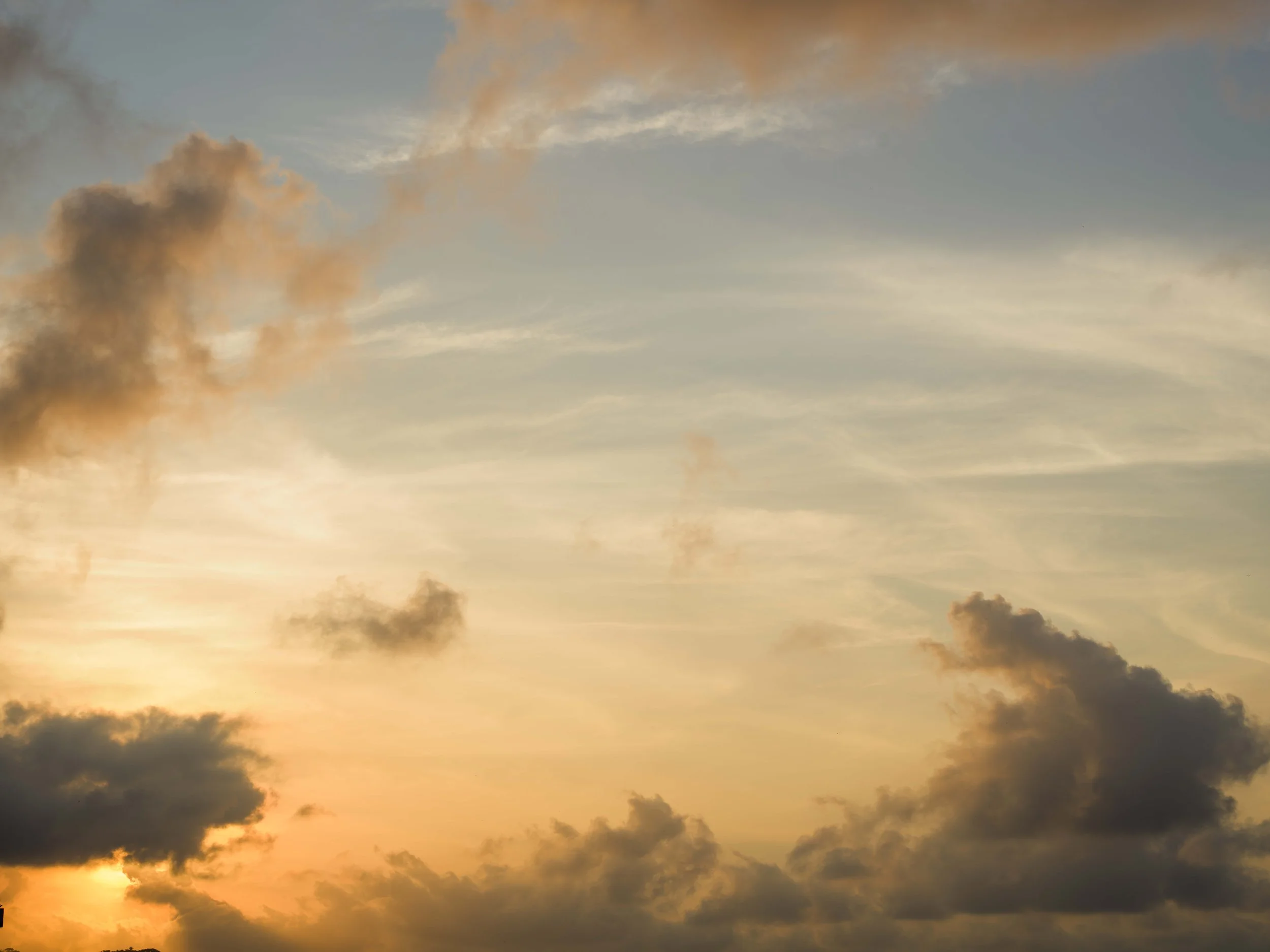 An Economic Study of Nayarit's Development Sector: The Intrinsic Need For Market Positioning