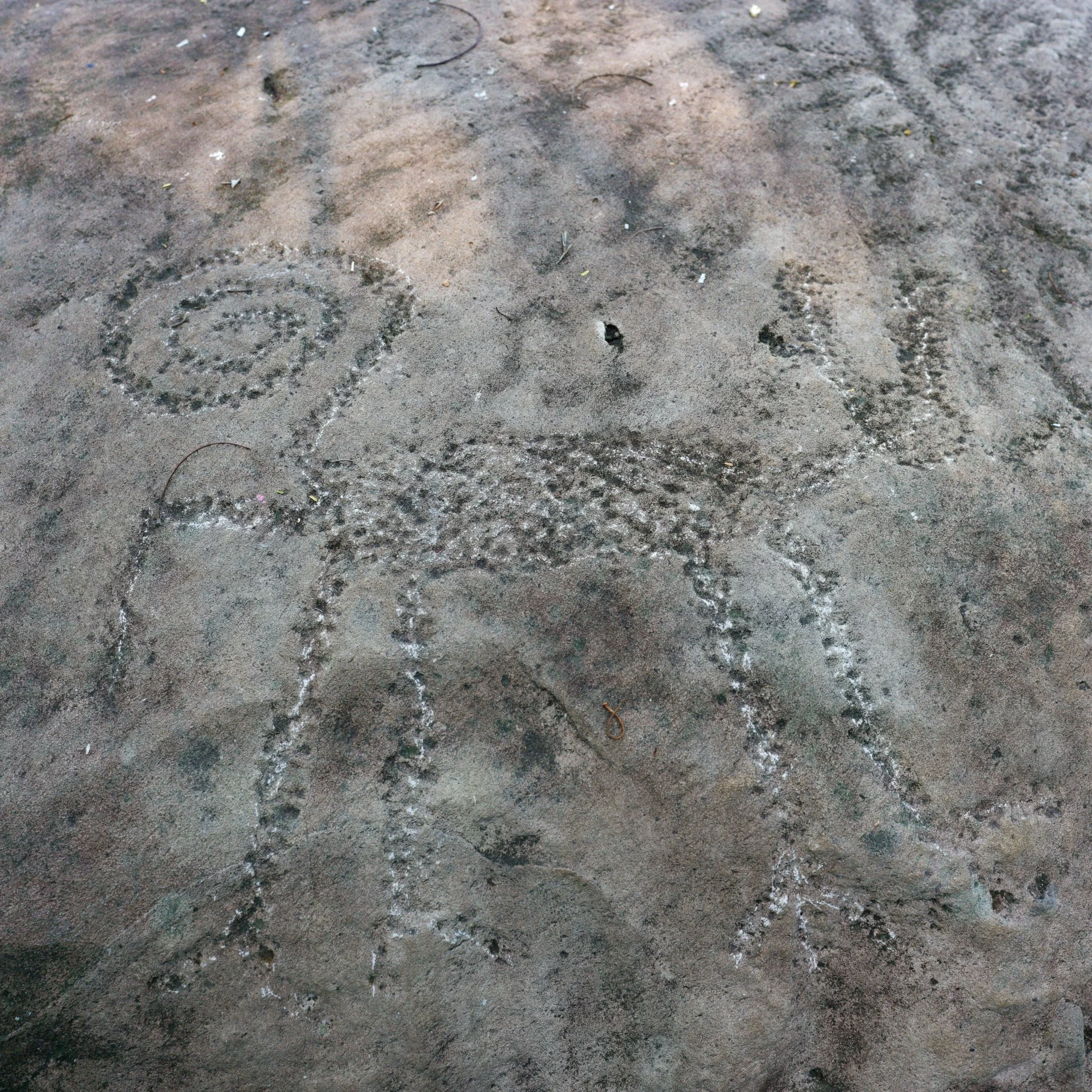 B_6057.jpg