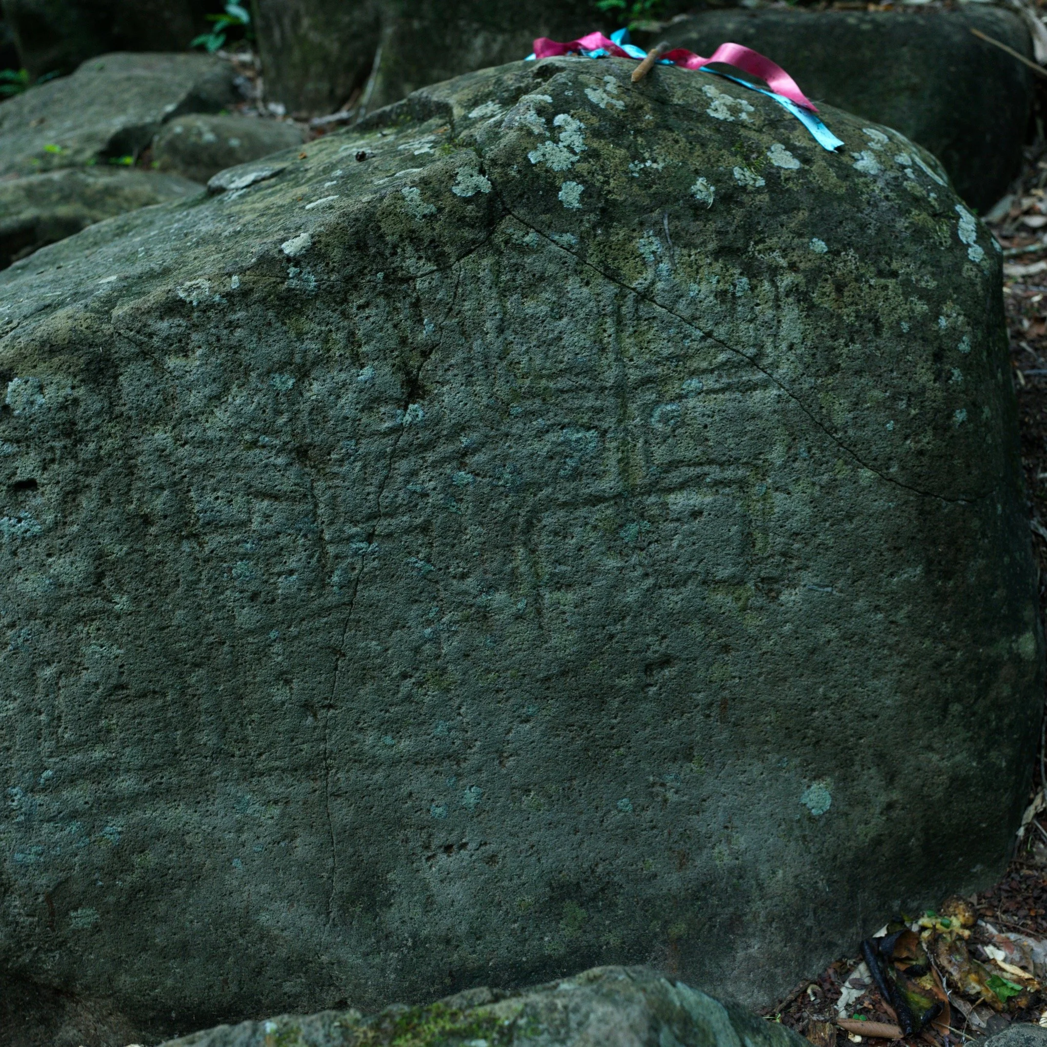 B_6084.jpg