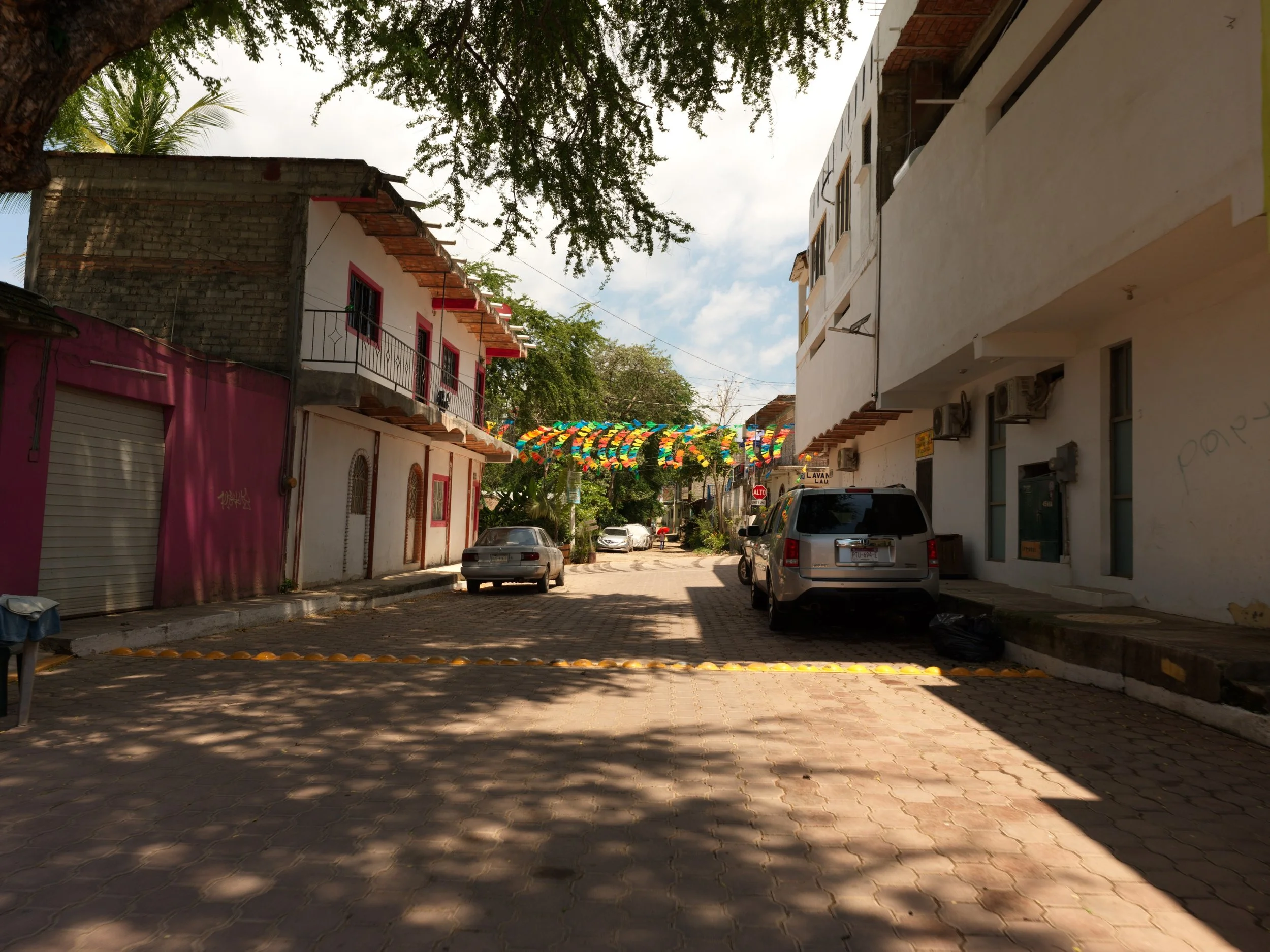 B_6294.jpg