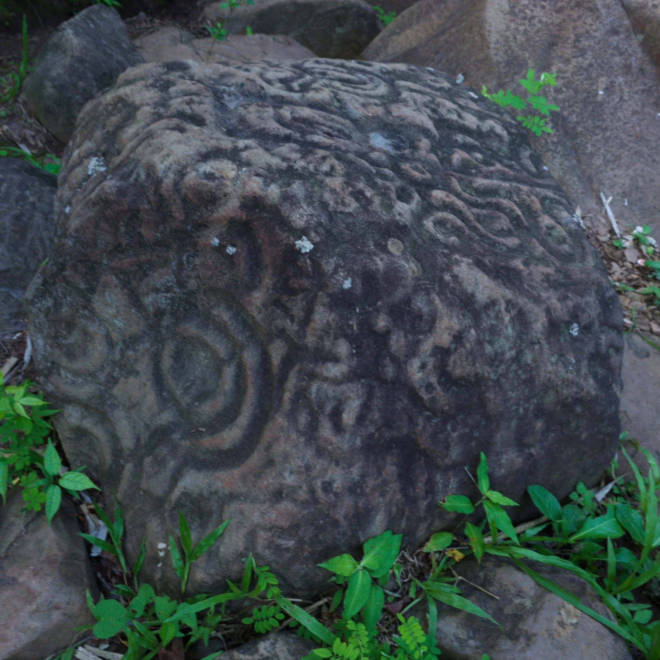 B_6063.jpg