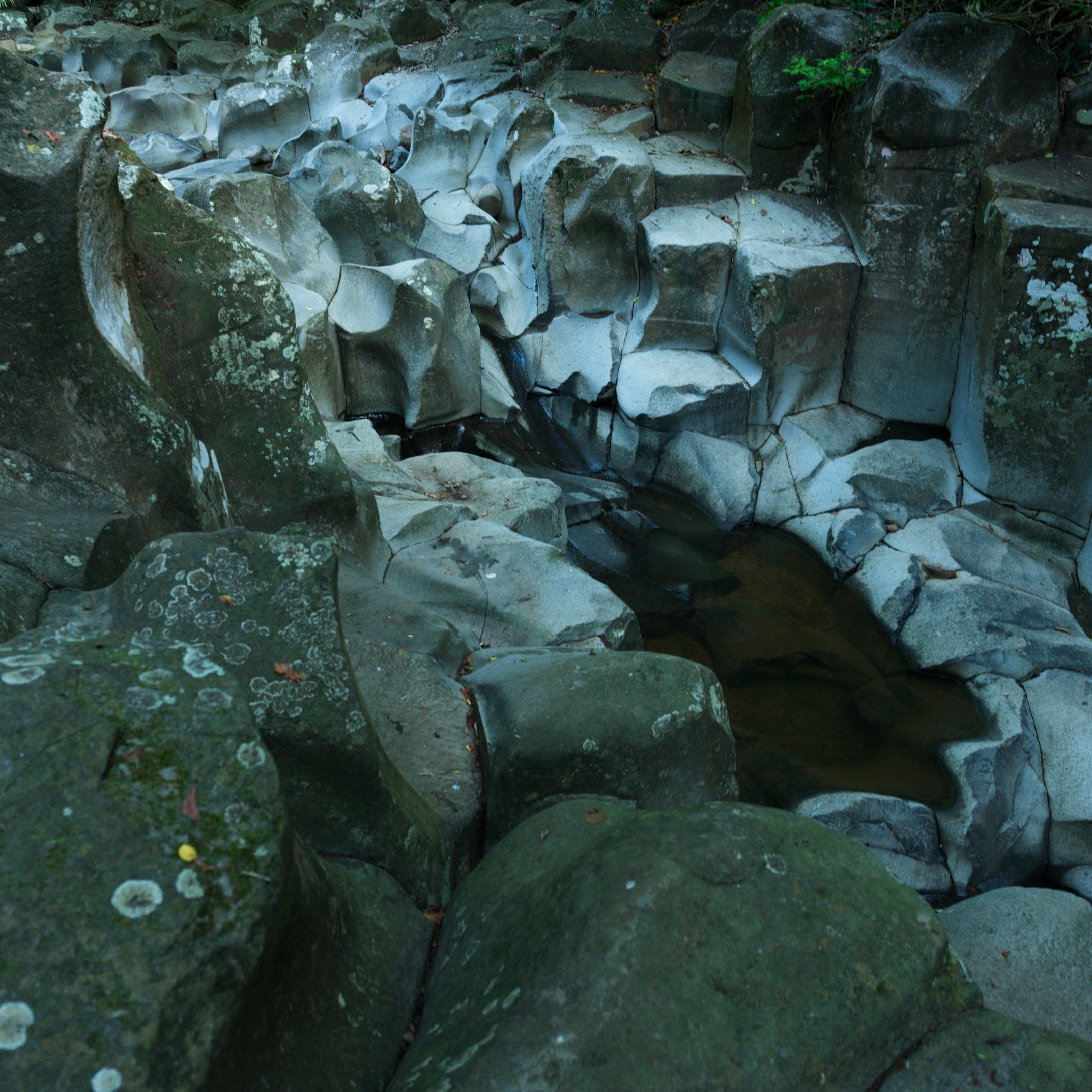 B_6082.jpg