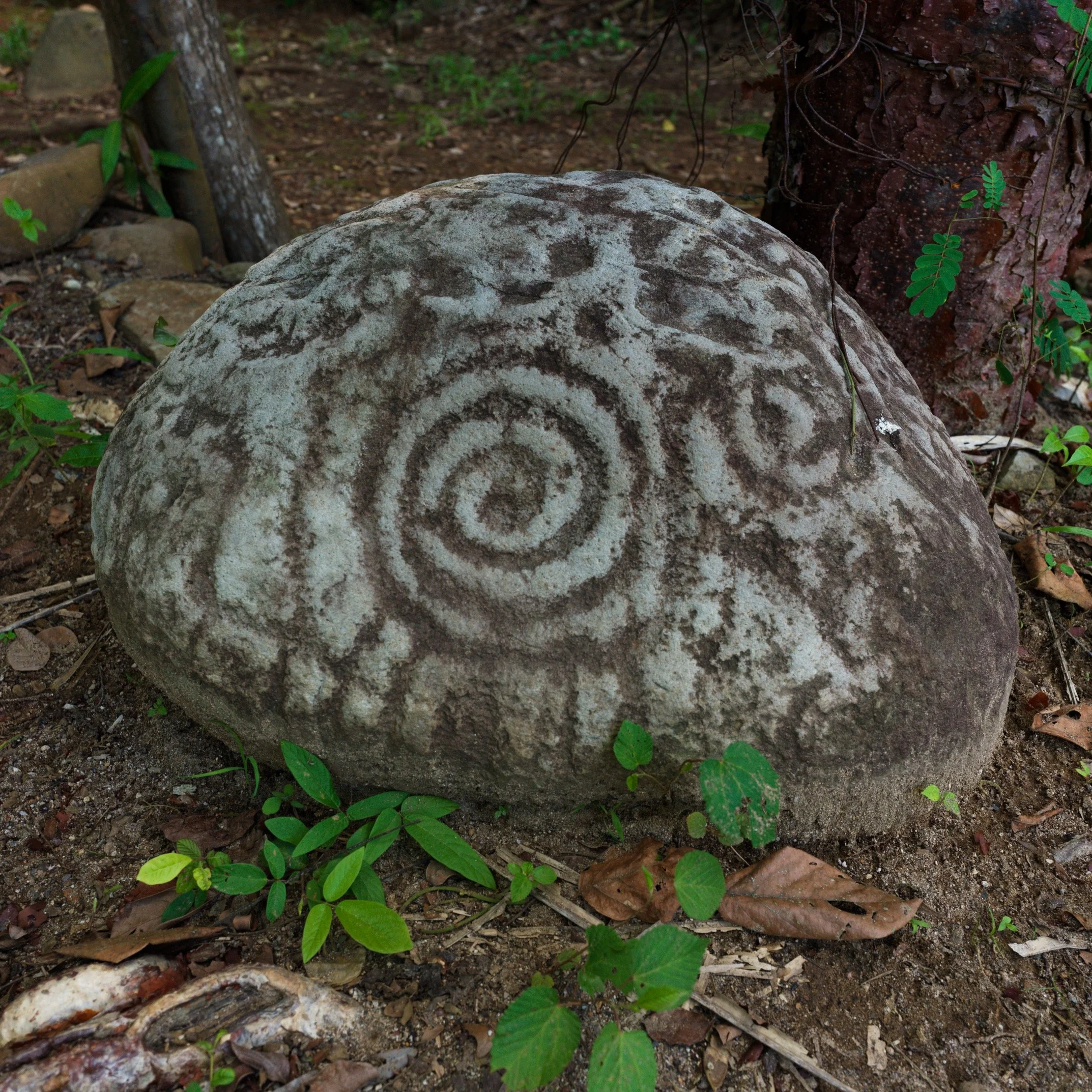 B_6045.jpg
