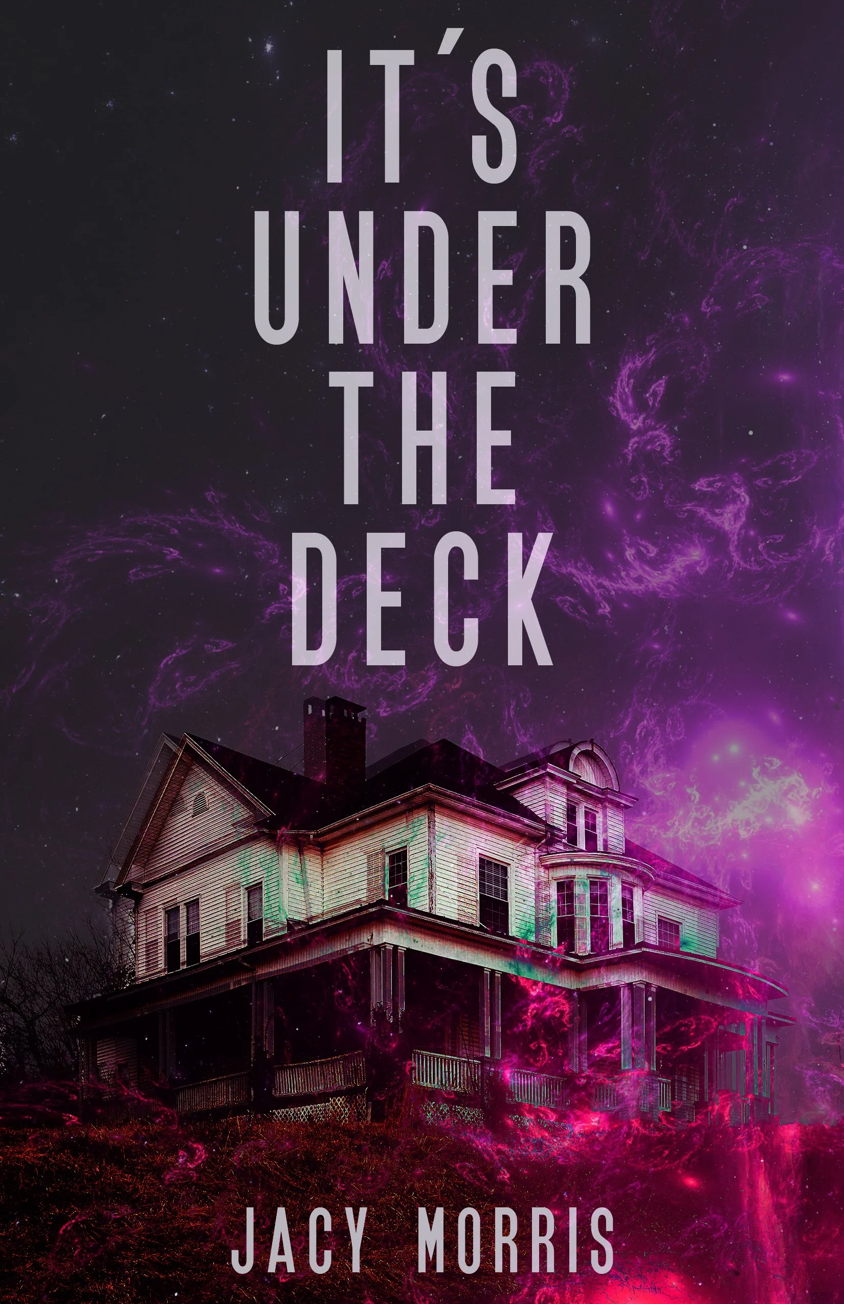 It's Under the Deck (ebook)