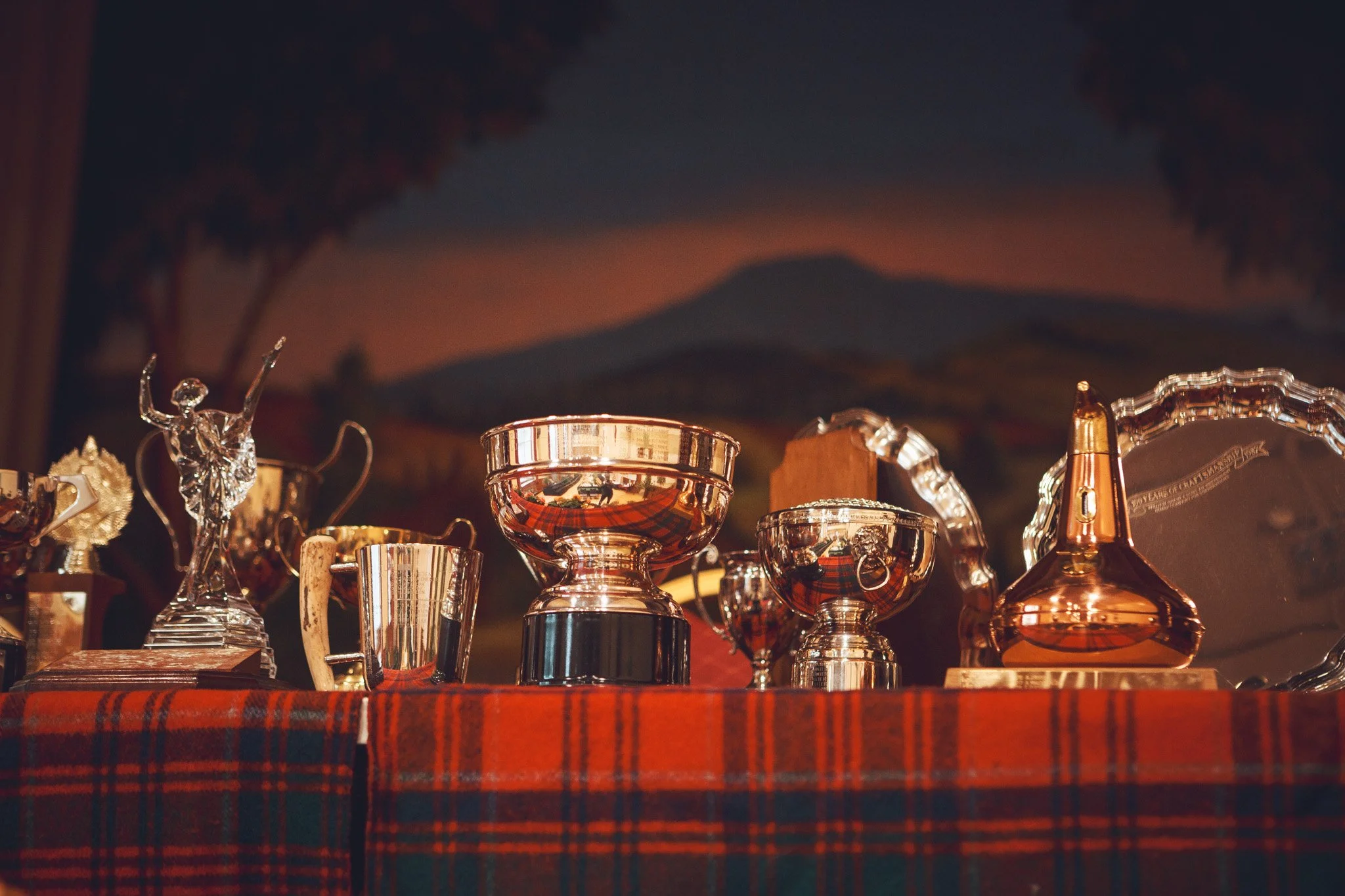 2025 Dufftown Horticultural Show