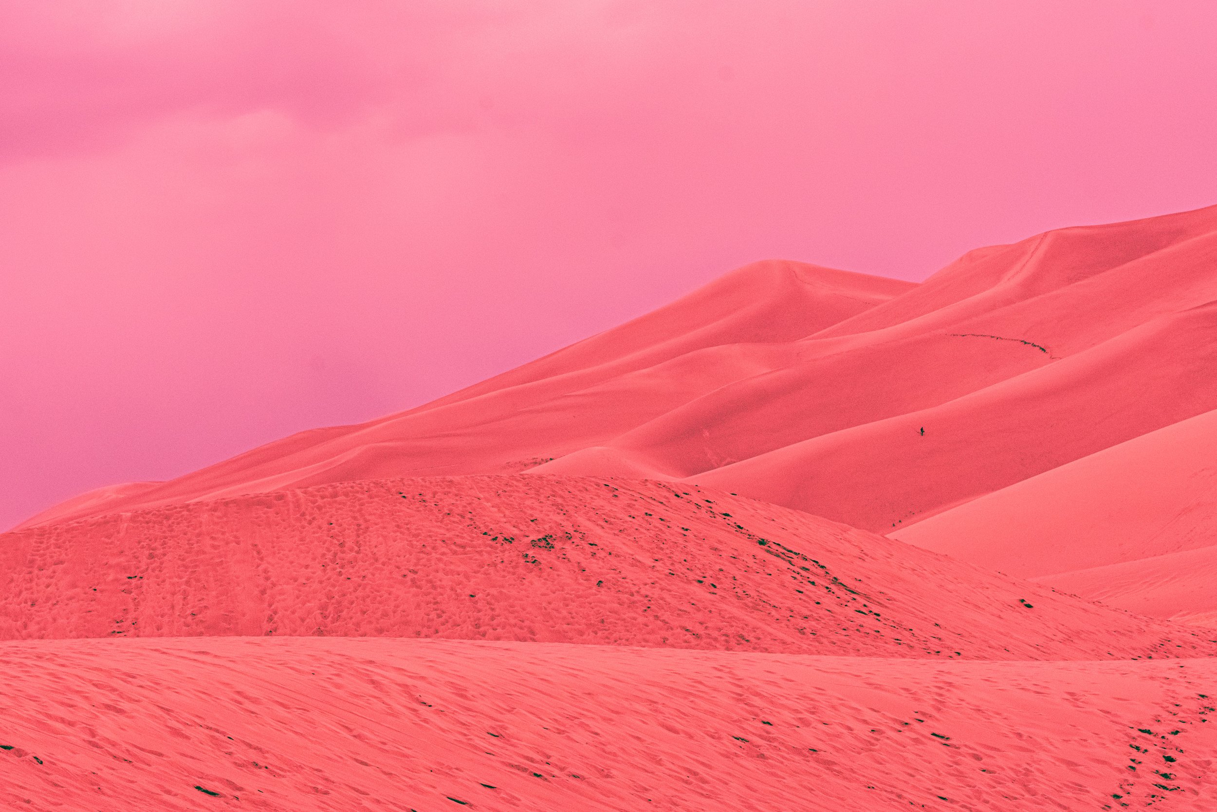 Desert Serenity