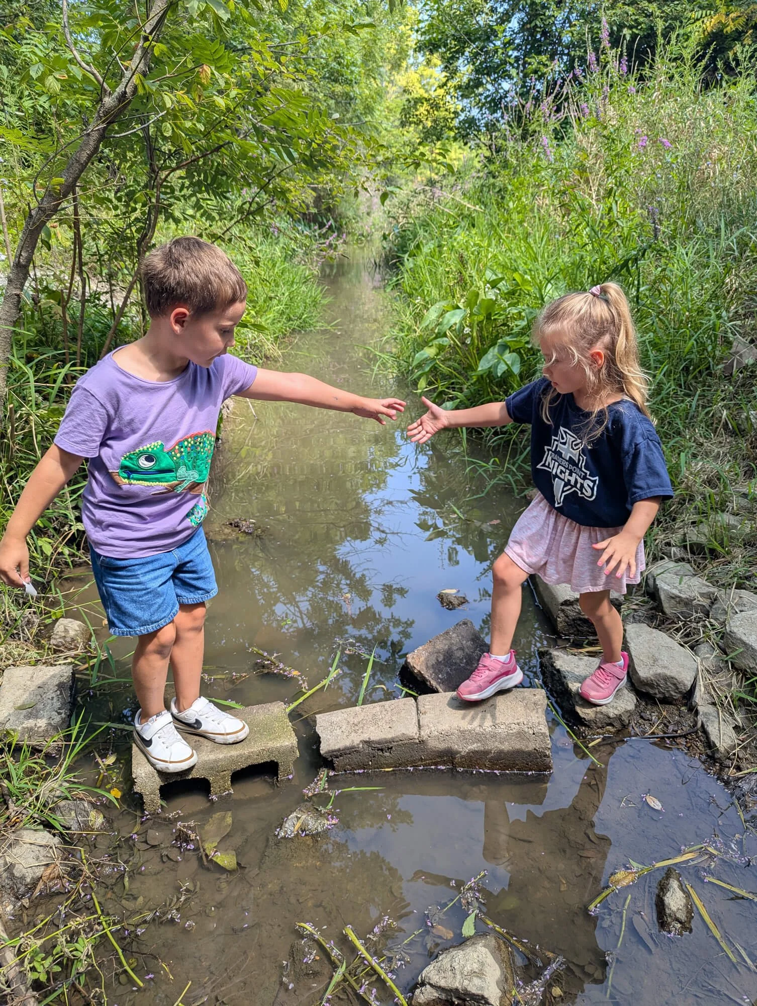 PXL_20250818_165103594 (1).jpg