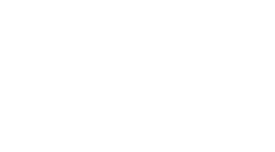 Carey K9 Academy