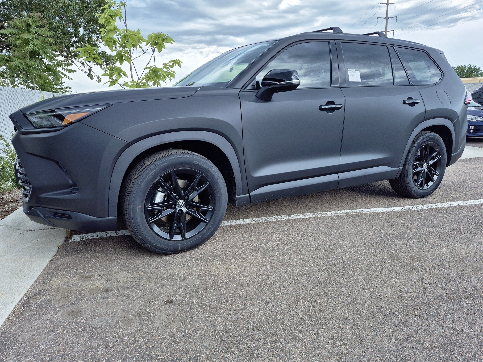 A matte black SUV parked in a parking lot between two white lines, with a small tree and cloudy sky in the background.