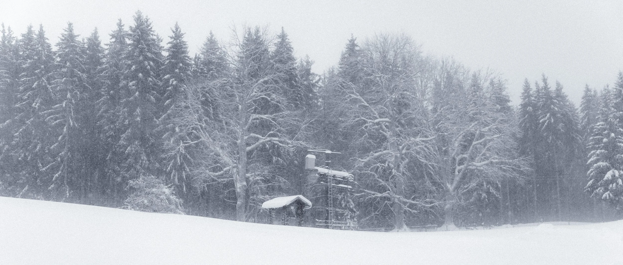 Paysage enneigé avec arbres recouverts de neige et une petite structure en bois, probablement une cabane, devant une forêt dense.