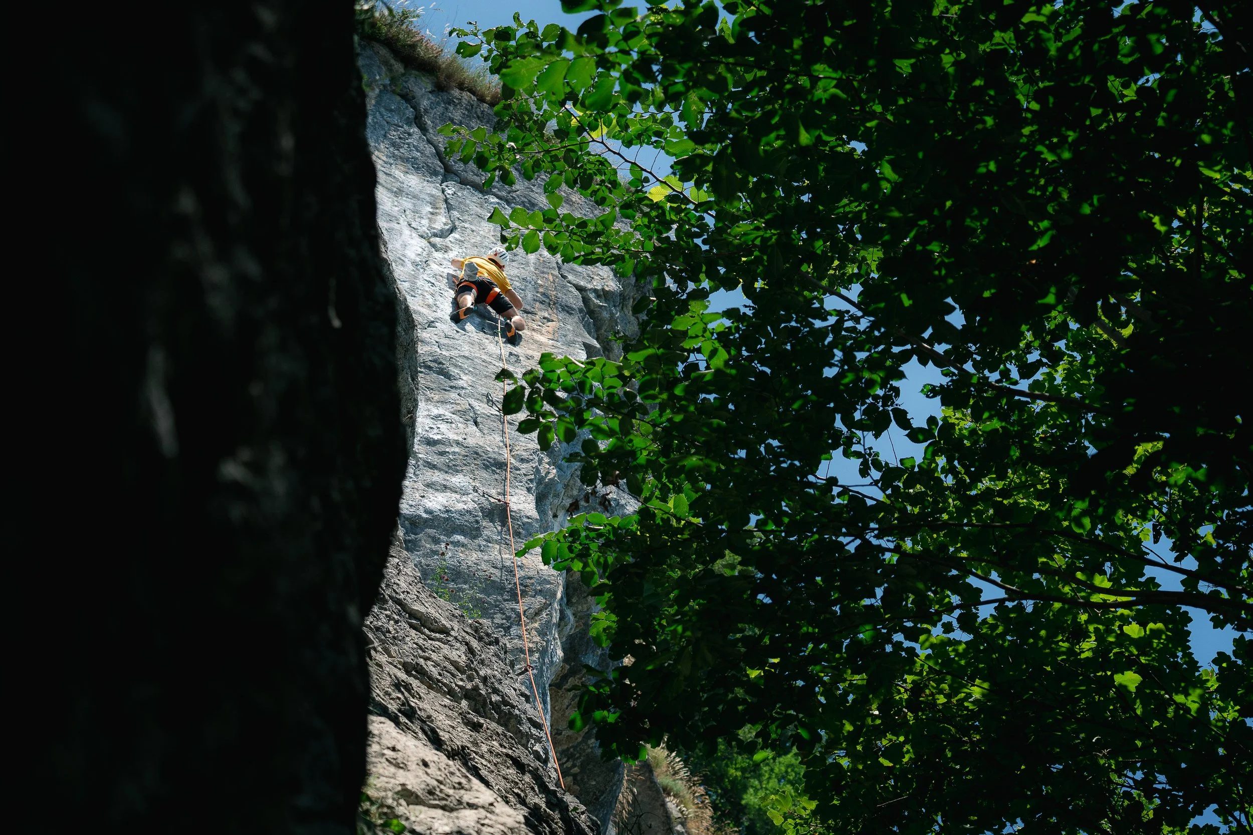 Un grimpeur escalade une falaise rocheuse sous un ciel bleu, entouré de feuillage d'arbres.