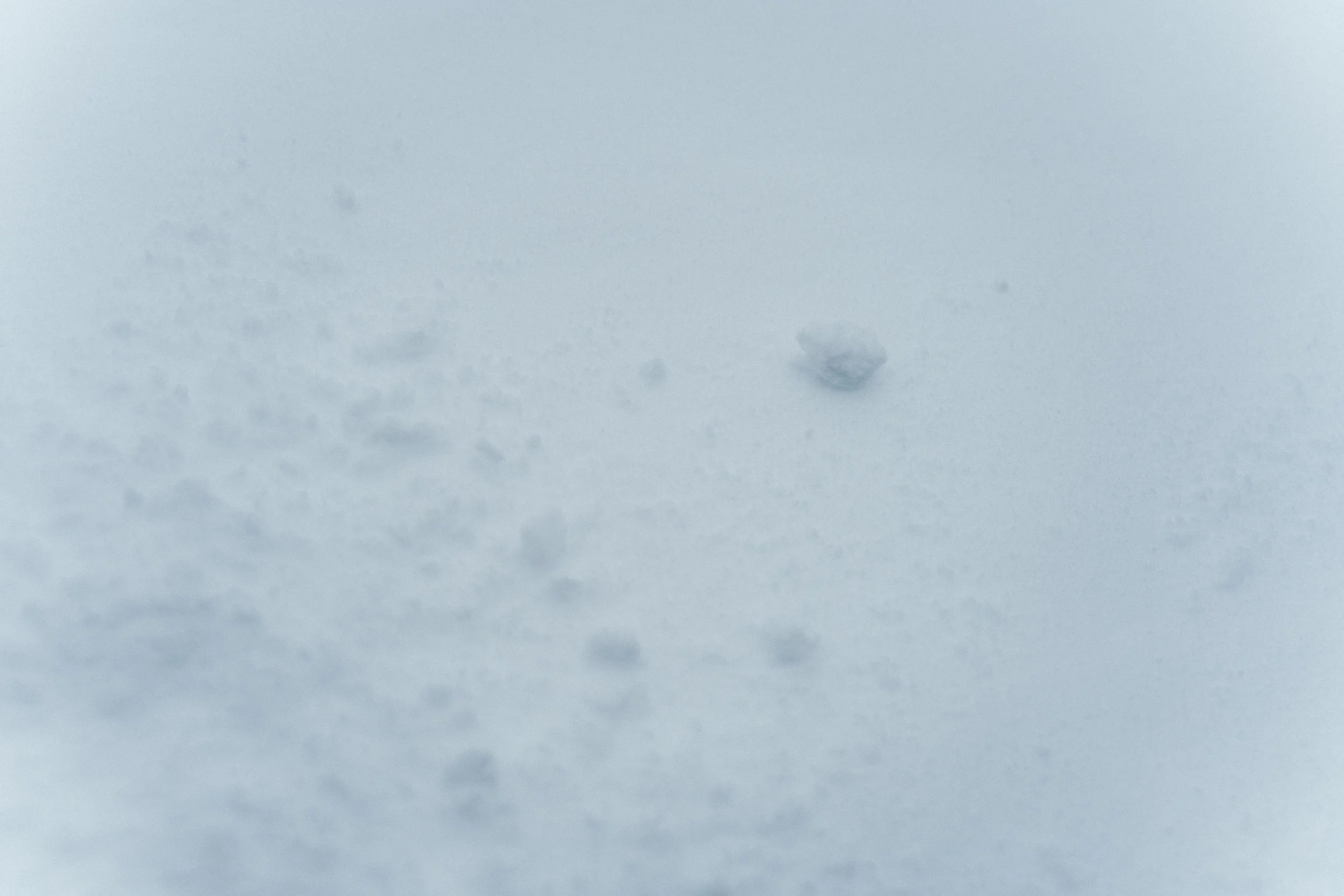 Texture de poudre blanche, probablement de la neige ou du sucre glace.