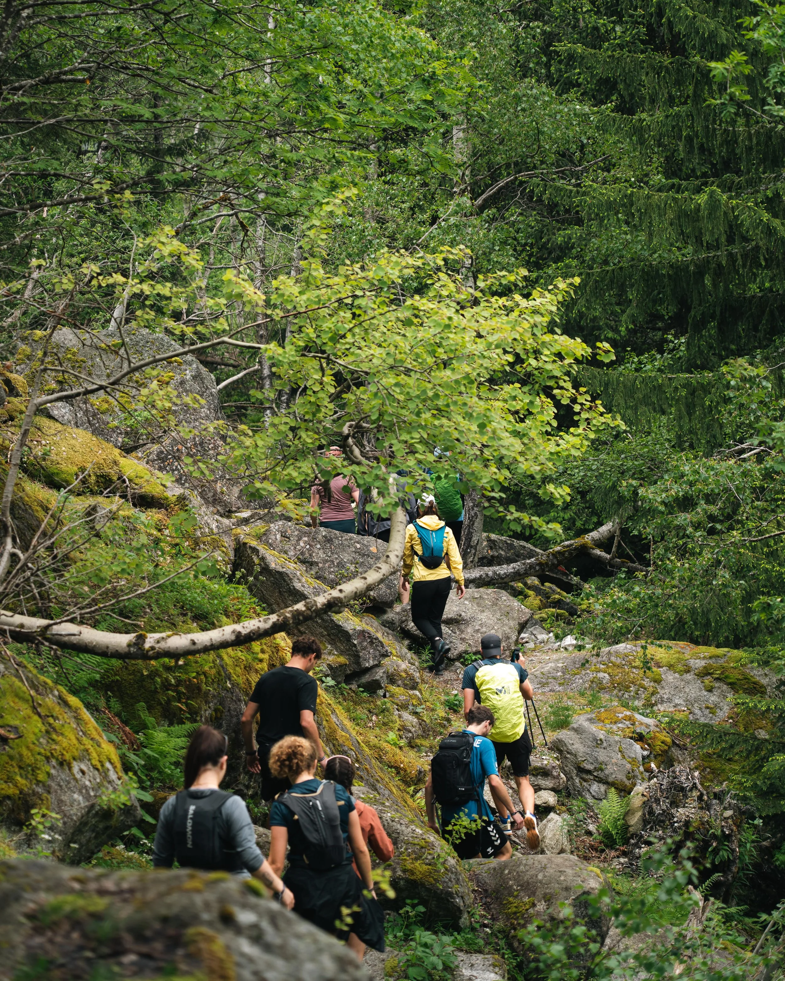 Groupe de randonneurs marchant sur un sentier en forêt, entouré de nombreux arbres et de rochers couverts de mousses.