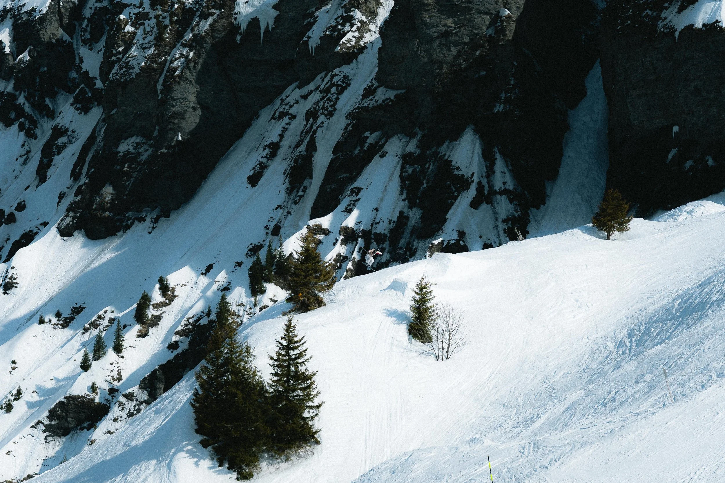 Paysage de montagne enneigée avec des arbres et des falaises rocheuses.