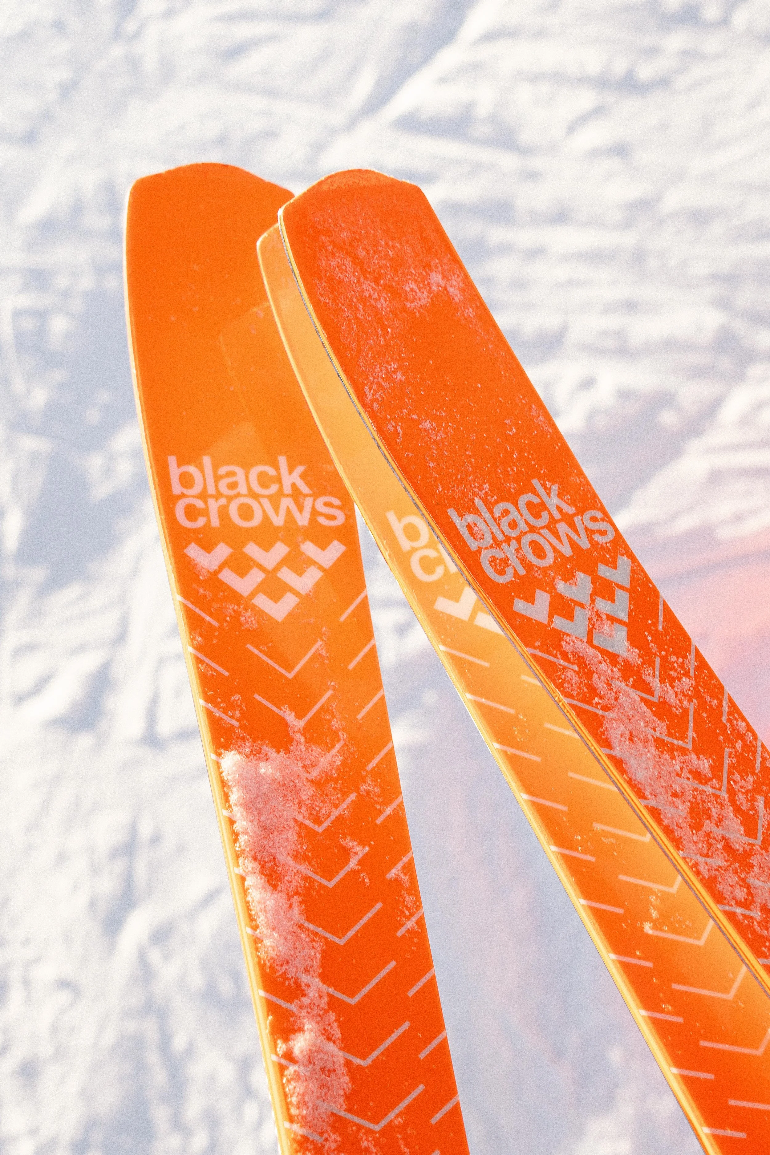 Deux skis orange "black crows" avec de la neige, sur fond neigeux.