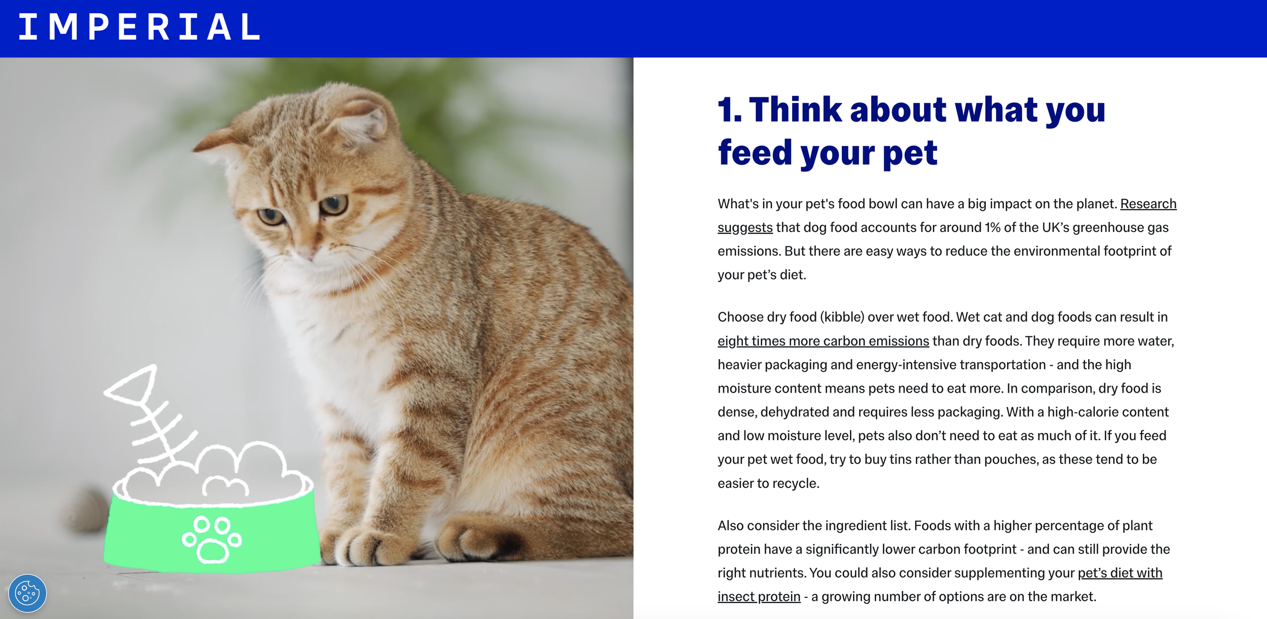 Screenshot of Imperial College website, image show cat looking at an illustrated bowl.
