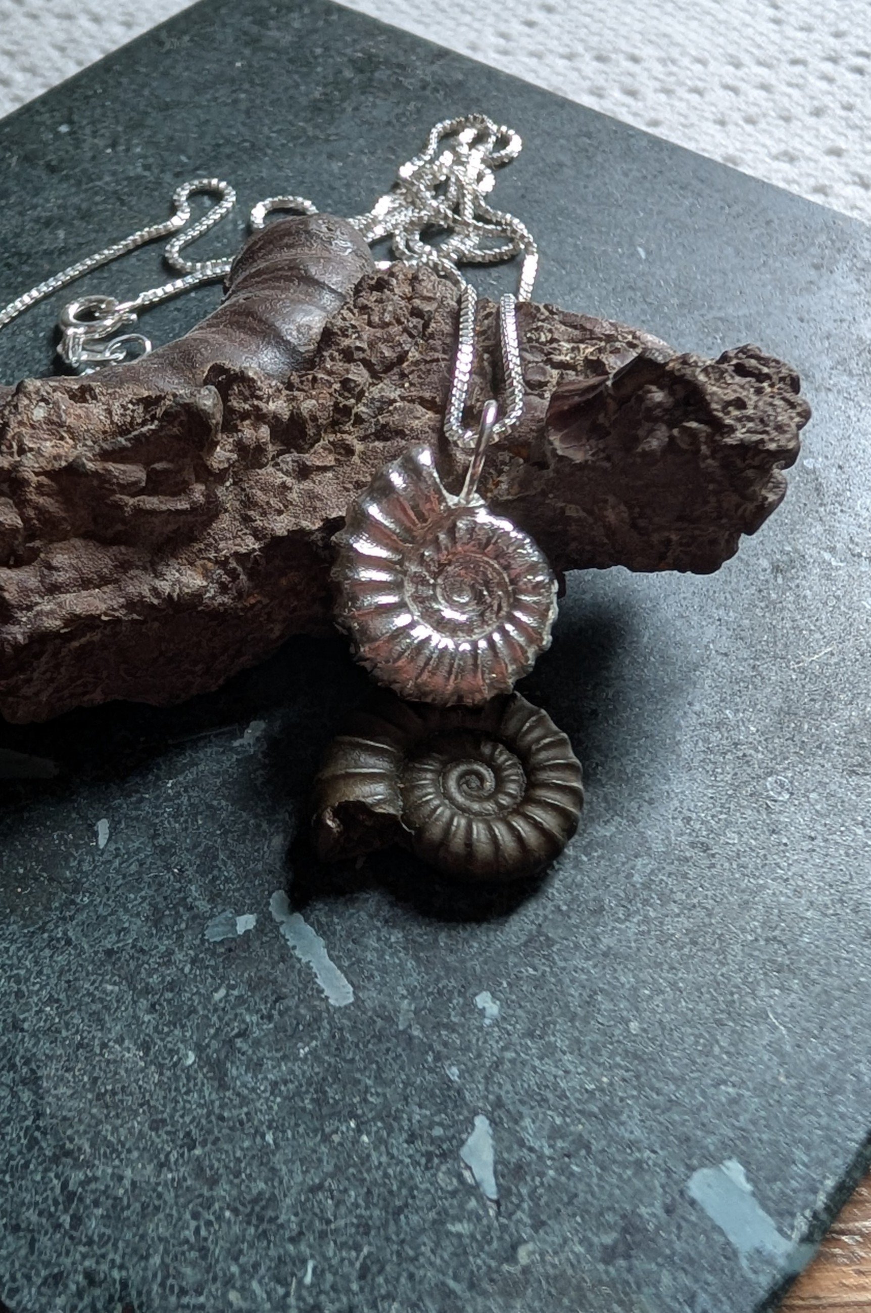 Jackie Ammonite special request (7).jpg