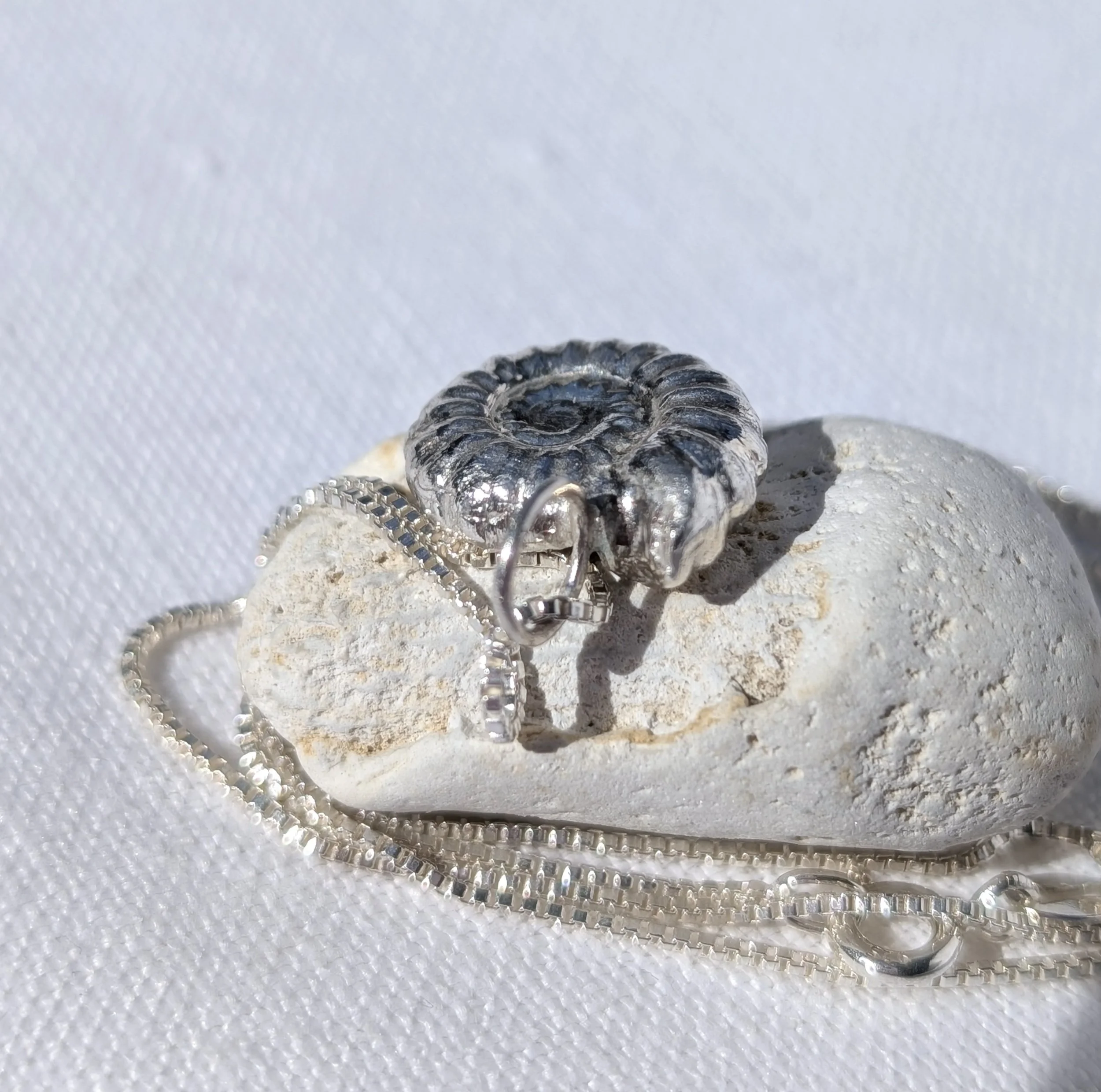 Handmade Solid Fine Silver Ammonite Fossil (10).jpg