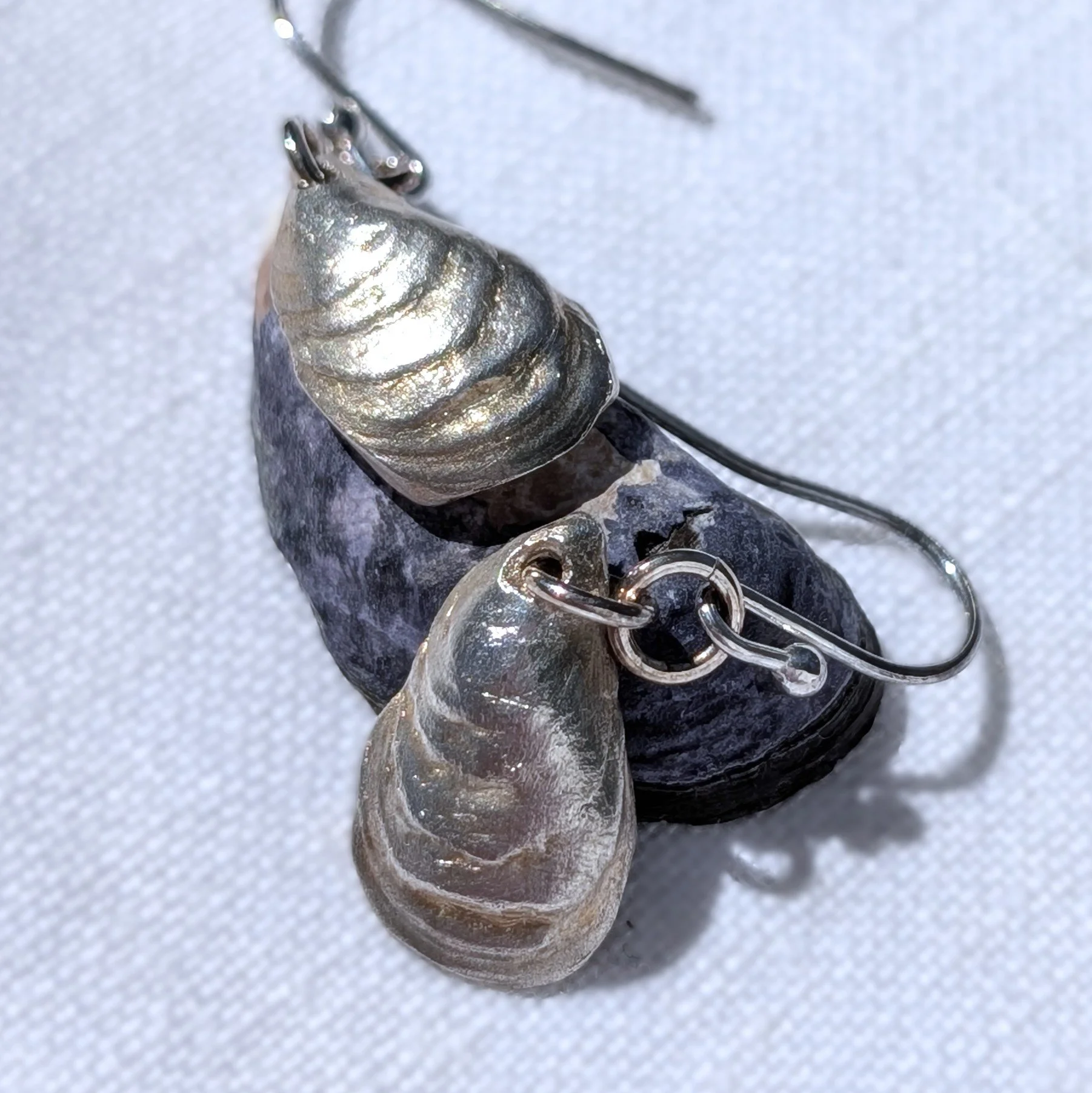 Handmade Fine Silver Cornish Mussell Shell Earrings (13).jpg