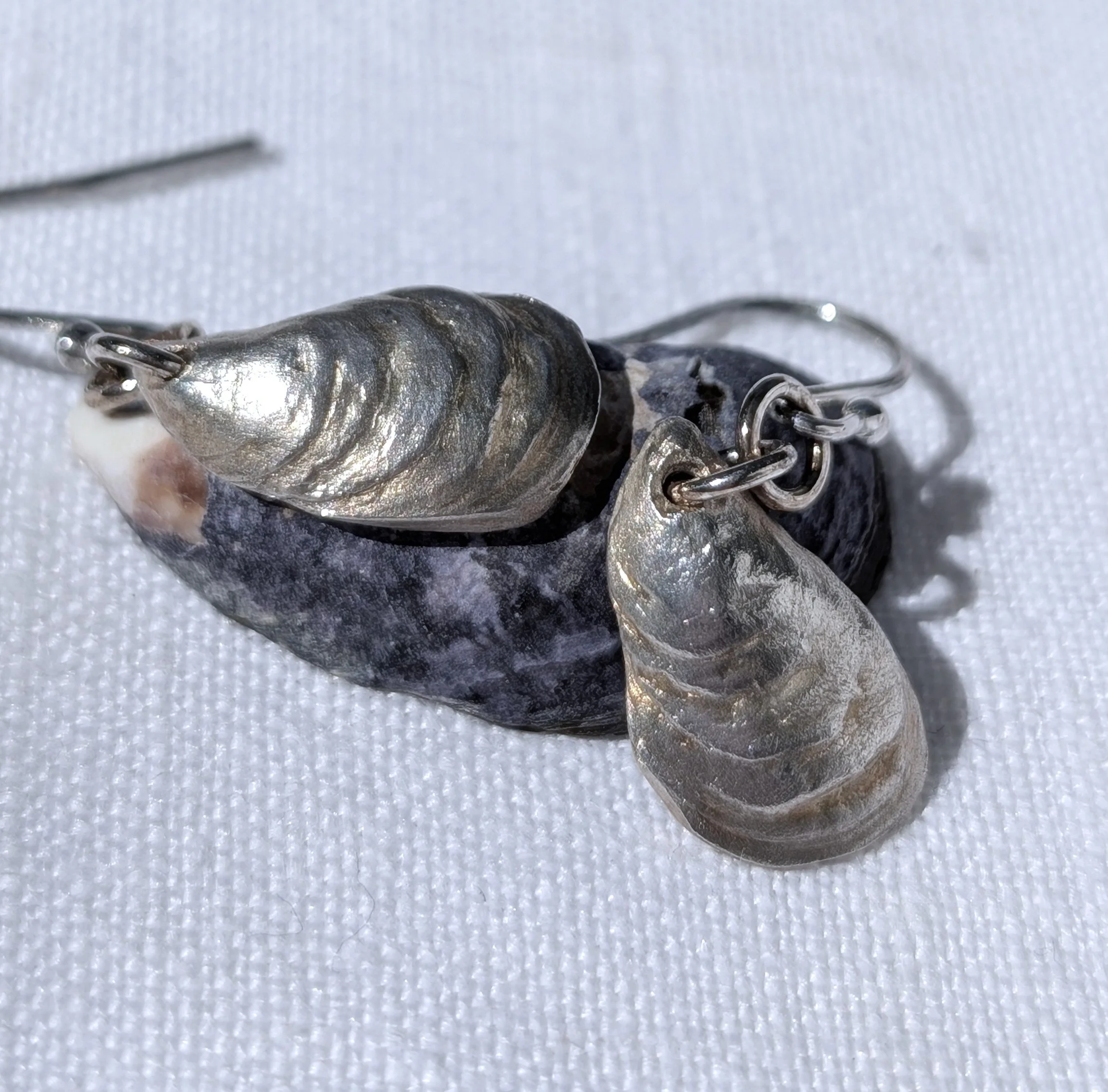 Handmade Fine Silver Cornish Mussell Shell Earrings (11).jpg