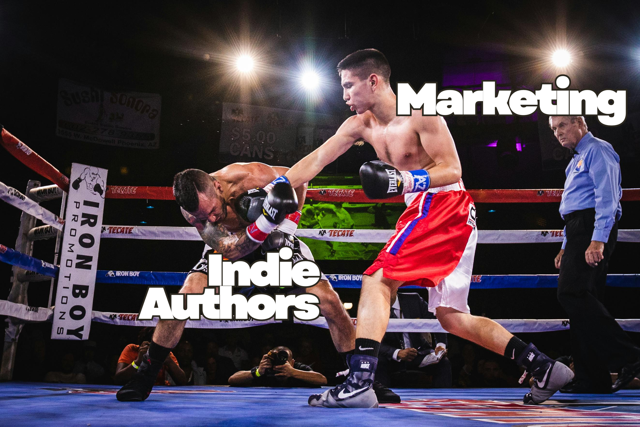 Image shows two fighters, one with the title "Marketing" punching the other titled "Indie Authors"