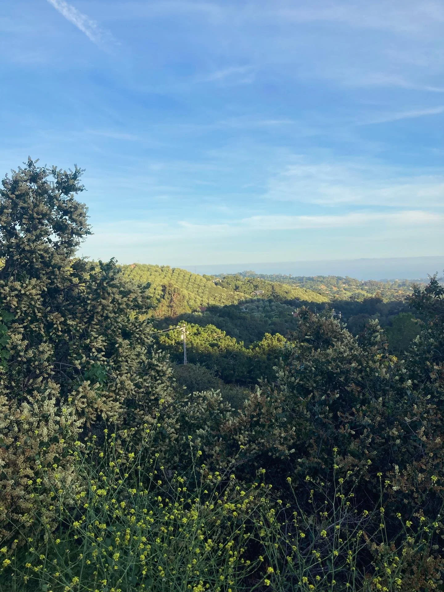 summer in full swing ☀️🌞🌻🍉 I don&rsquo;t get sick of this view. I&rsquo;ve got some fun new things coming together for my summer collection. stay tuned 📻