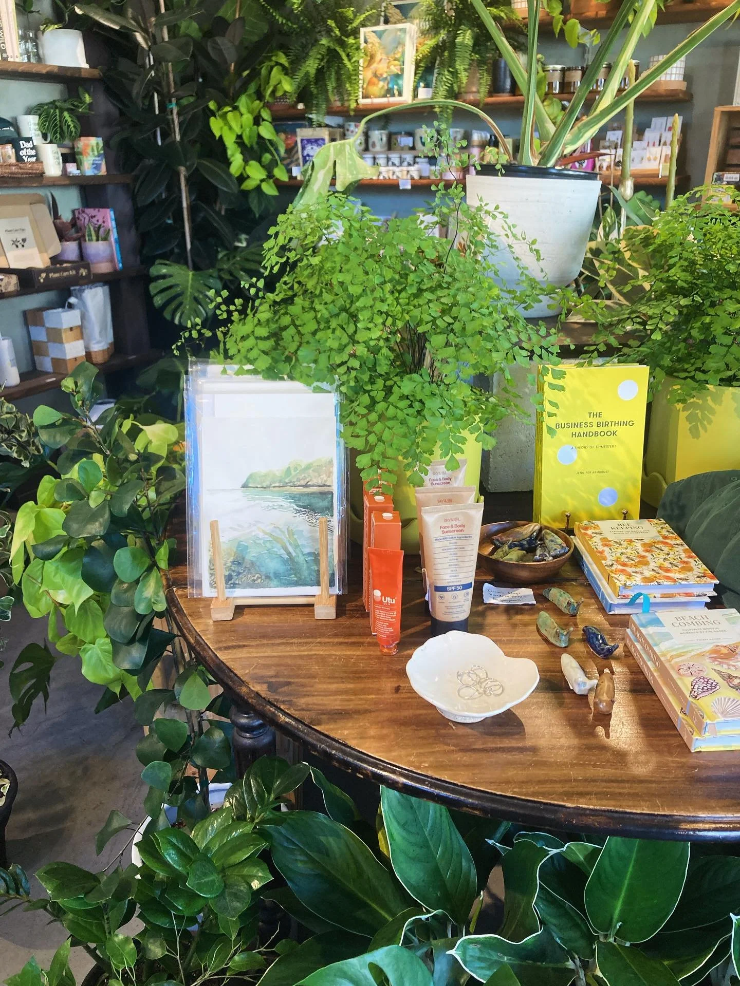 Santa Cruz Island print over at @idyll.mercantile 
👀🌿🌊