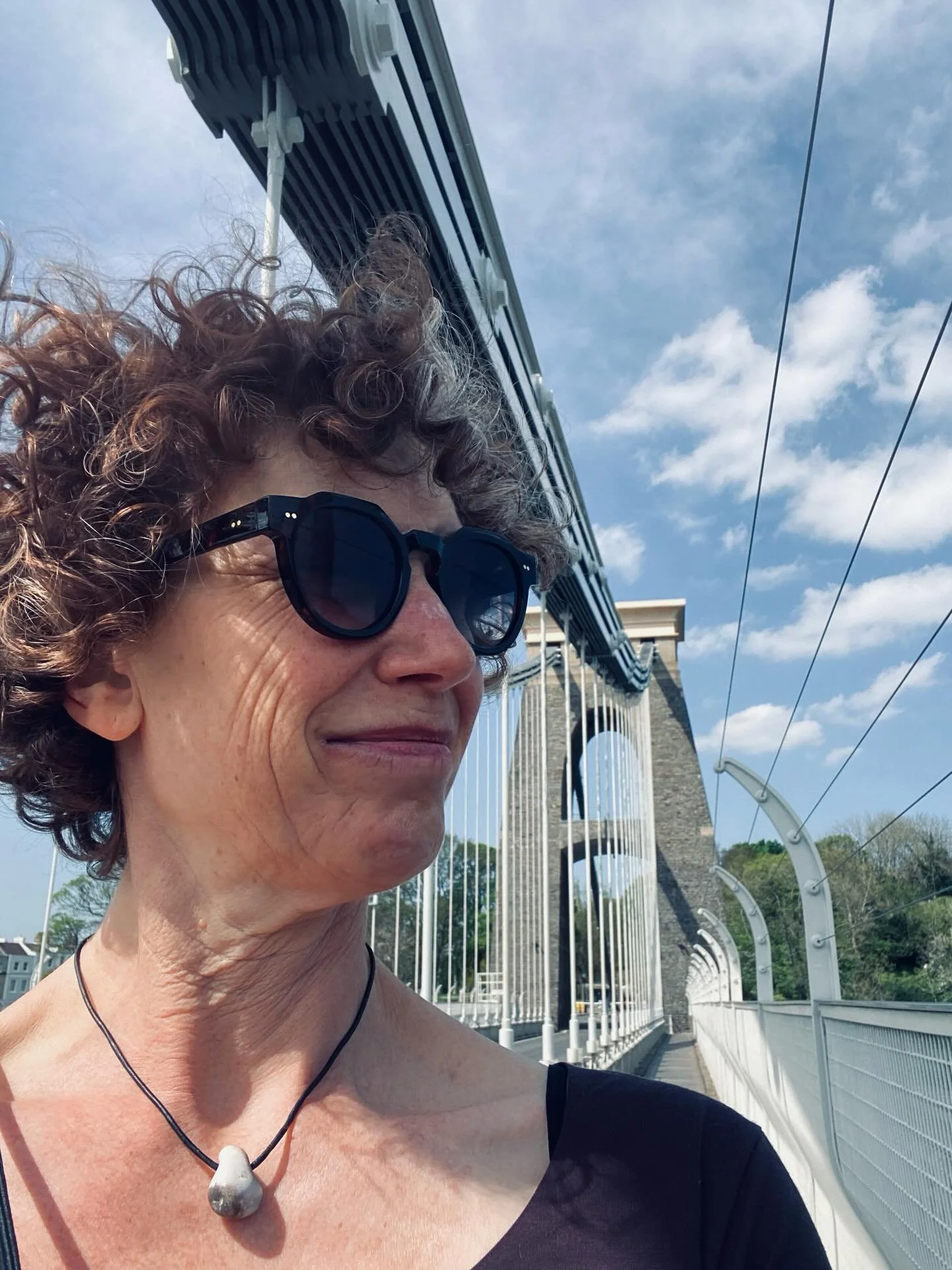 What a lovely surprise Bristol is!

Among these images:
&mdash;the Clifton Suspension Bridge over the River Avon
&mdash;A NOSE! Woven from willow!
&mdash;Gromit!
&mdash;The pink door at the stunning house I&rsquo;m getting to stay in. 💜