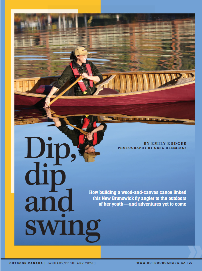 Dip, Dip and Swing