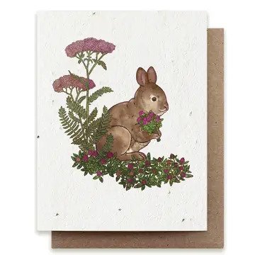 bunny.jpg