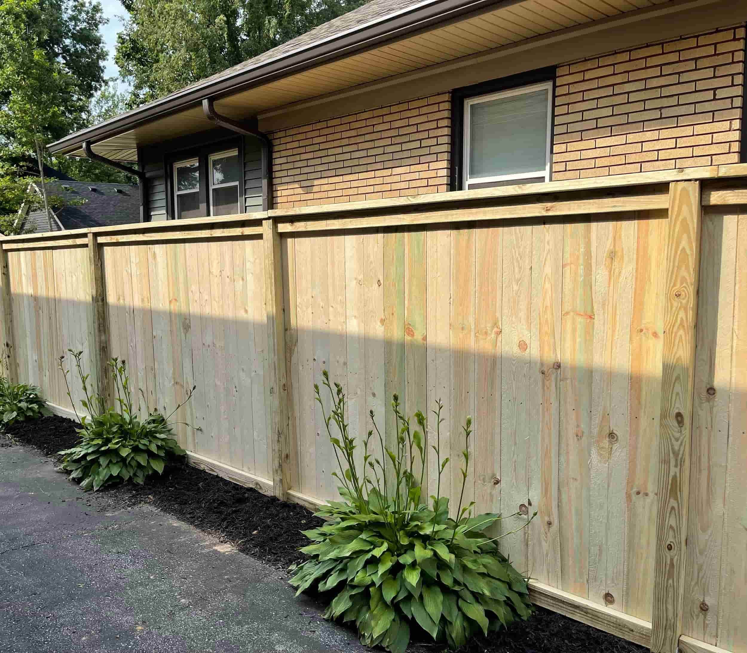 A wooden privacy fence with plants at the base in a backyard, partially blocking a view of a house with brick and siding facade and windows, surrounded by trees.